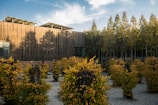 A modern wooden building with solar panels on the roof is surrounded by a meticulously arranged garden featuring small trees with autumn-colored leaves. The garden has a gravel pathway and is bordered by a line of tall trees. The sky is blue with wispy clouds, creating a serene atmosphere.