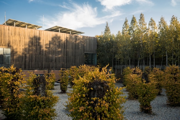 A modern wooden building with solar panels on the roof is surrounded by a meticulously arranged garden featuring small trees with autumn-colored leaves. The garden has a gravel pathway and is bordered by a line of tall trees. The sky is blue with wispy clouds, creating a serene atmosphere.