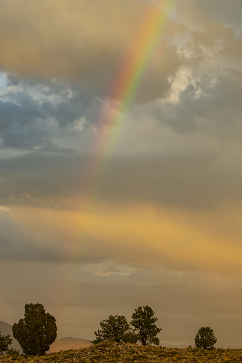 Rainbow arcing over a green field