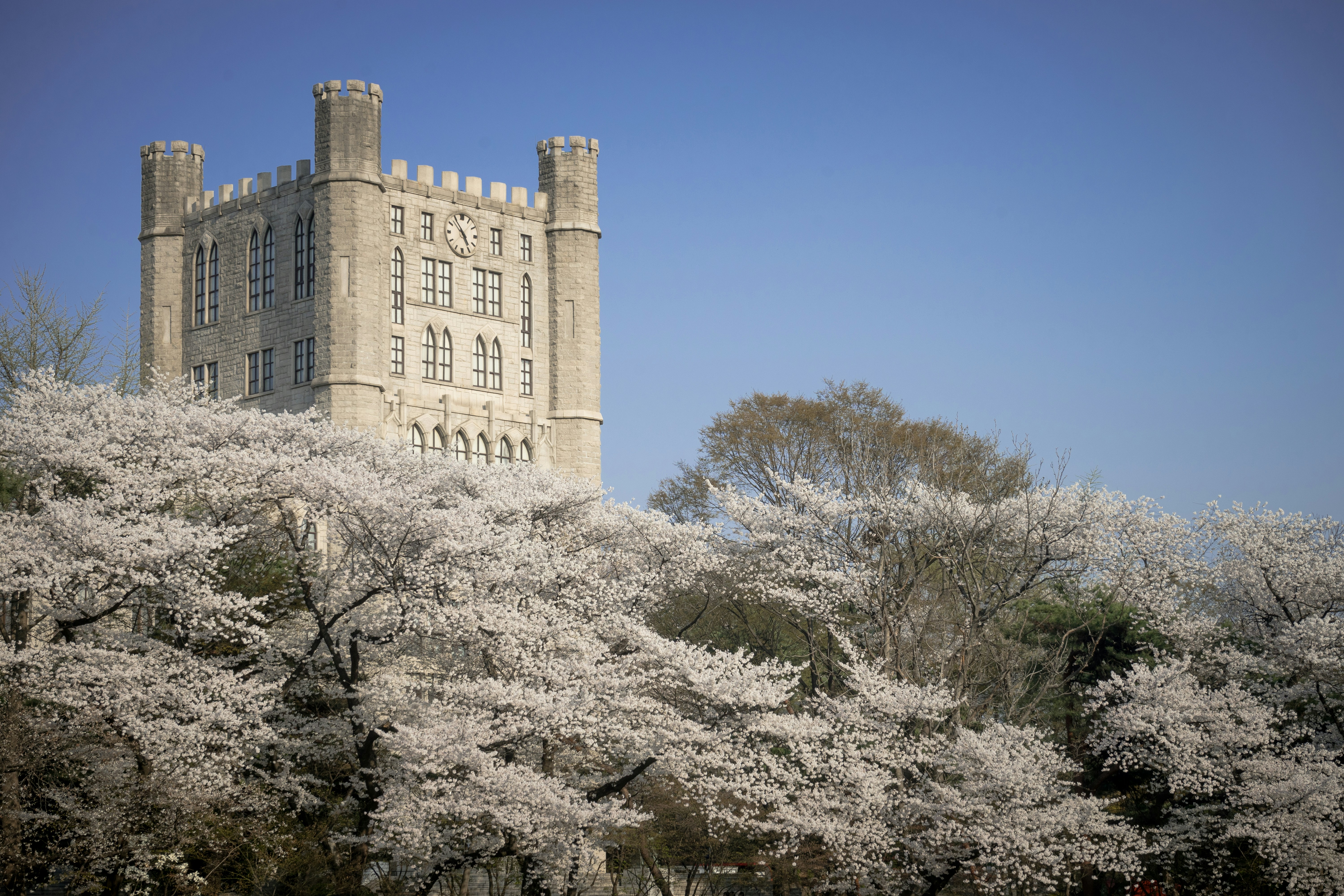 A castle with a lot of trees in front of it