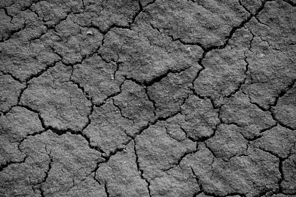 a black and white photo of a cracked surface