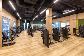 A vibrant gym space filled with various training equipment neatly arranged.