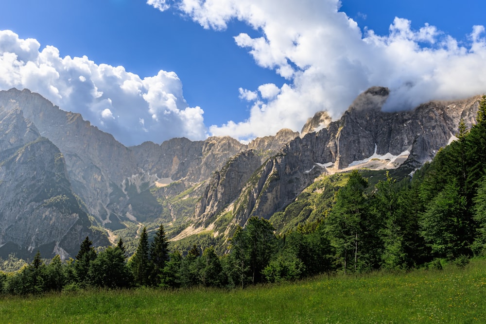 a grassy field with trees and mountains in the background