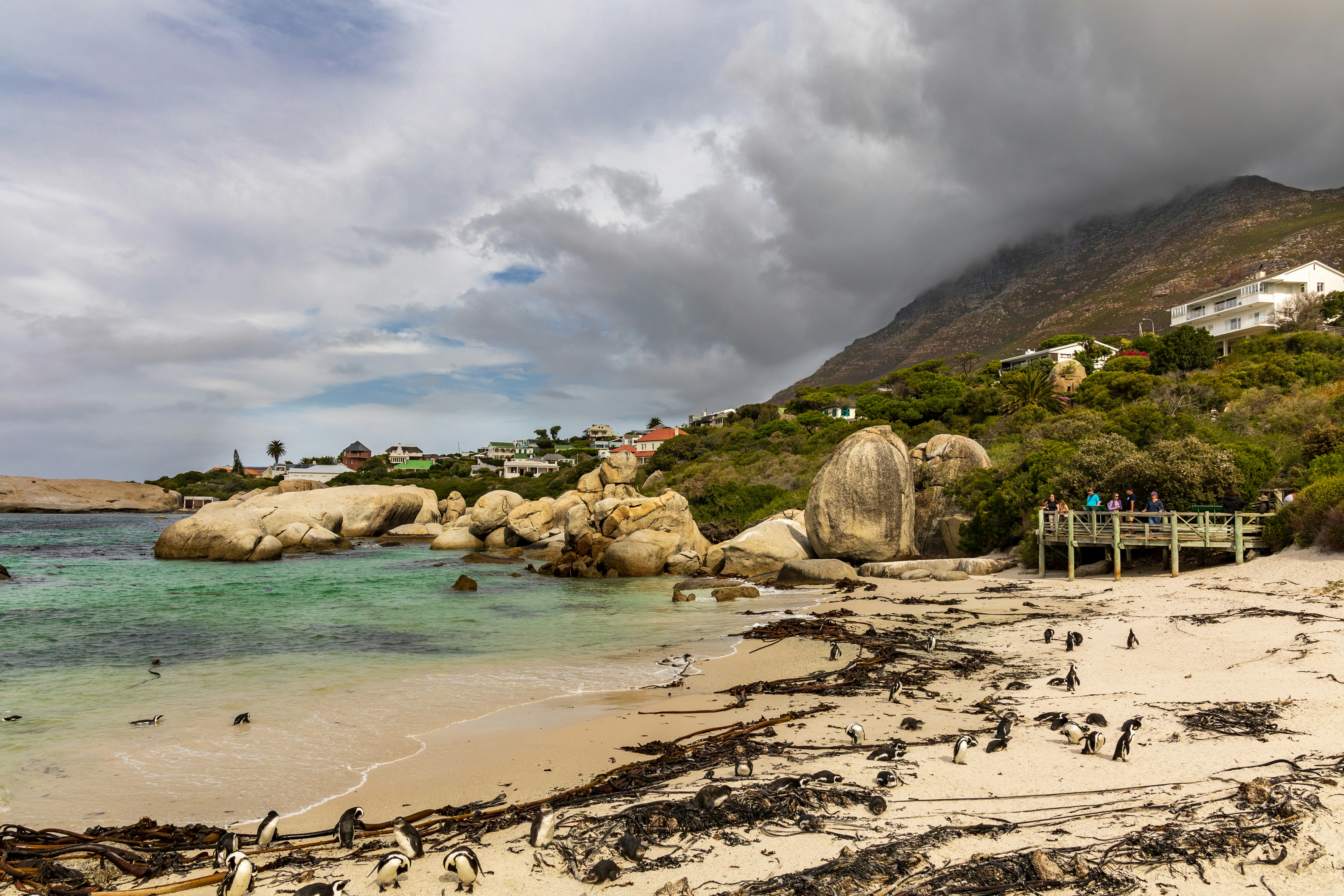 Boulders Beach