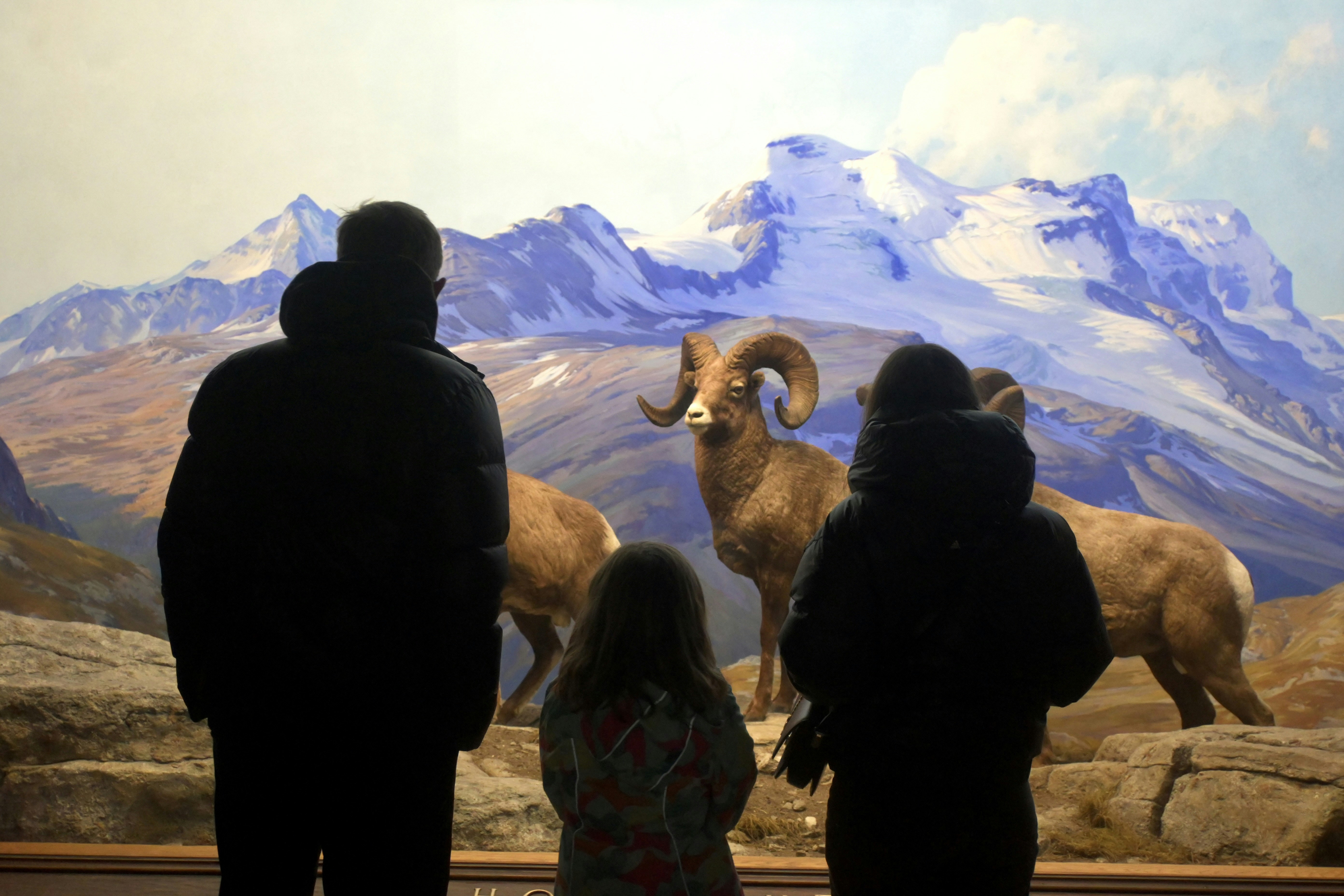Schweizerisches Museum für Wild und Jagd