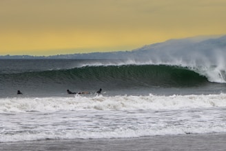 Surfers are paddling in the ocean, waiting for waves under a cloudy sky with a faint yellow hue. The sea appears deep green with a breaking wave forming, and a distant shoreline is partially visible in the backdrop.