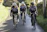 Cyclists riding together on a scenic rural road during the pilgrimage at sunrise.