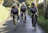 Cyclists riding together on a scenic rural road during the pilgrimage at sunrise.