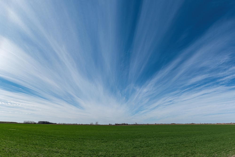 a green field under a blue sky with wispy clouds