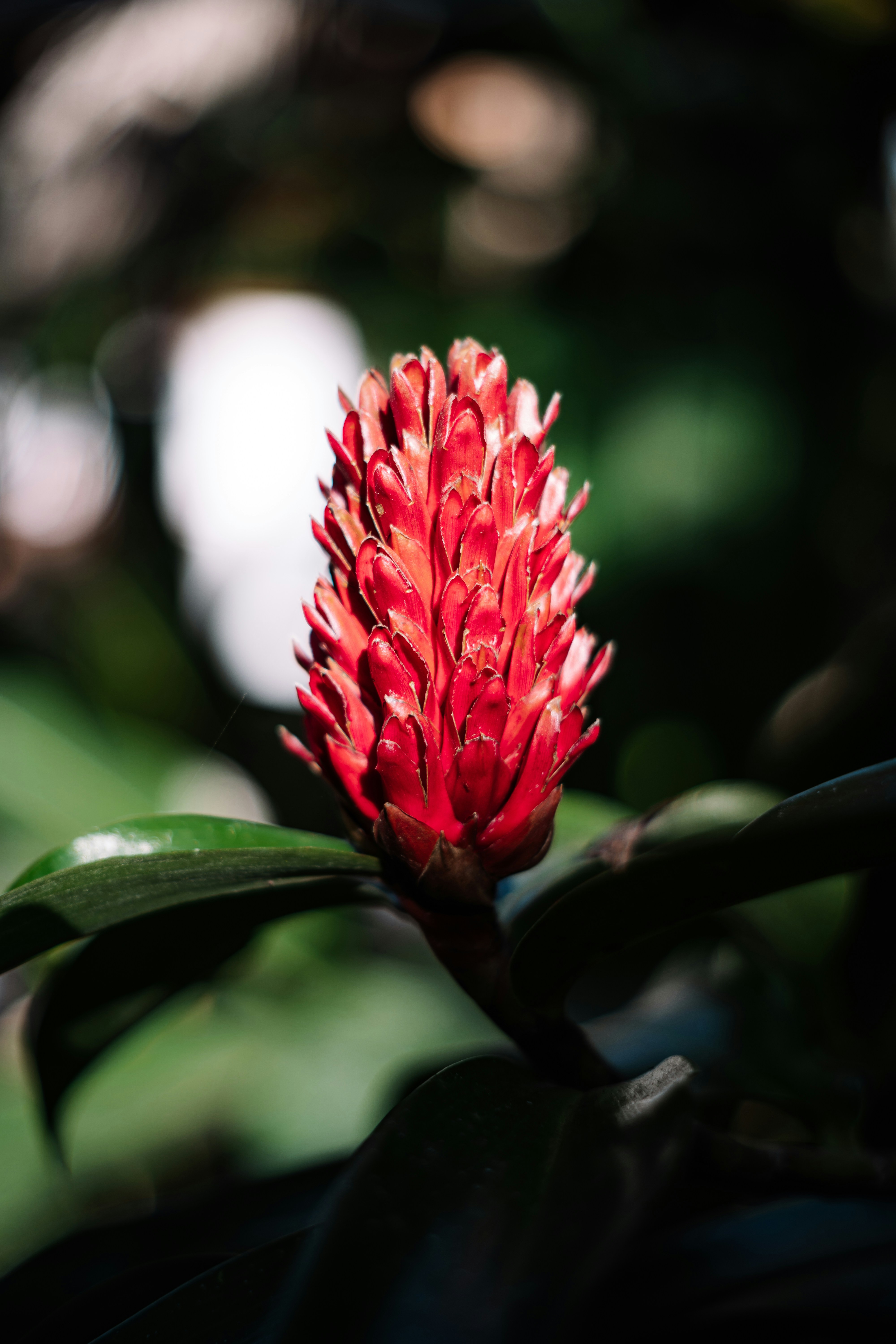 Photo by framesforyourheart