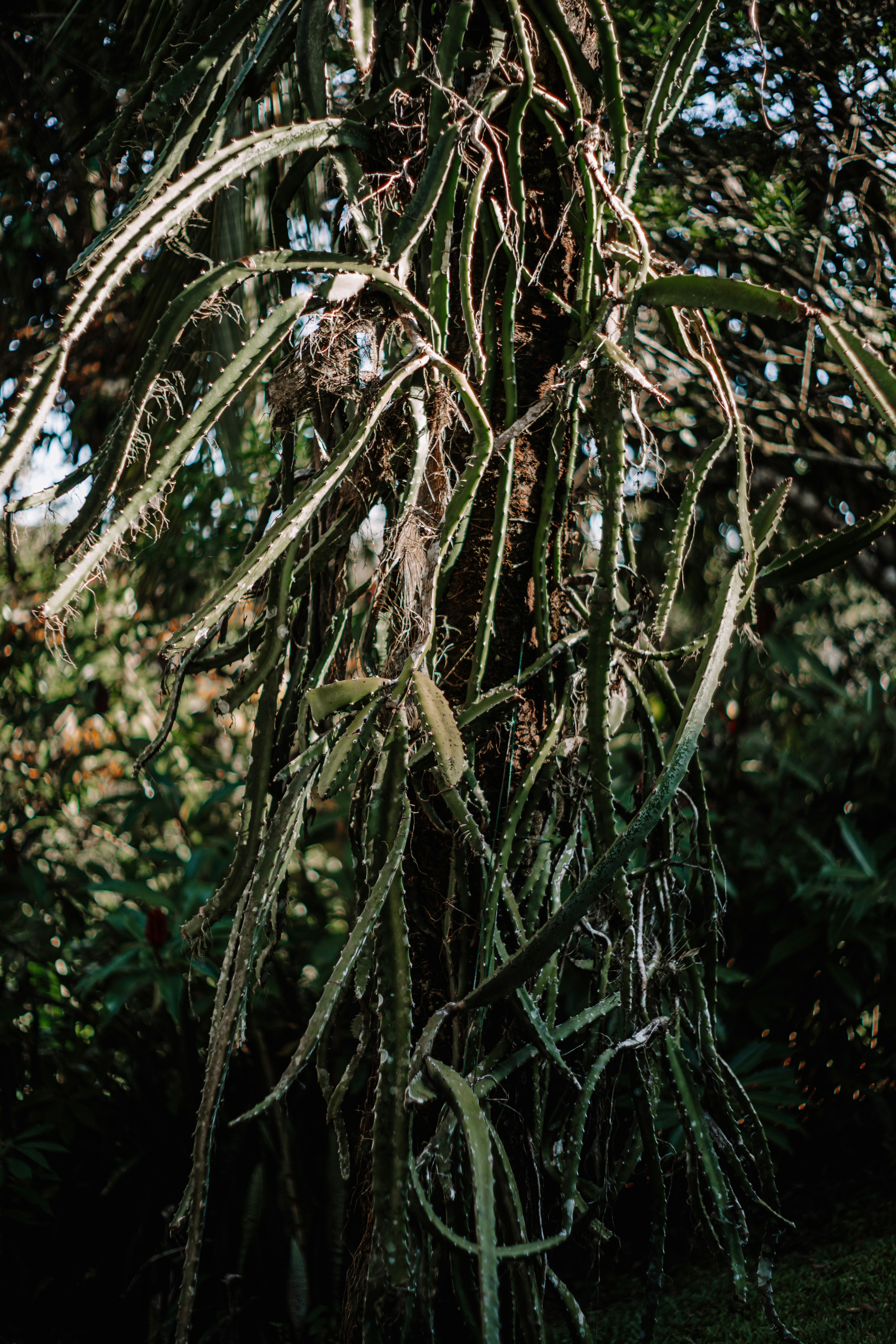 Photo by framesforyourheart