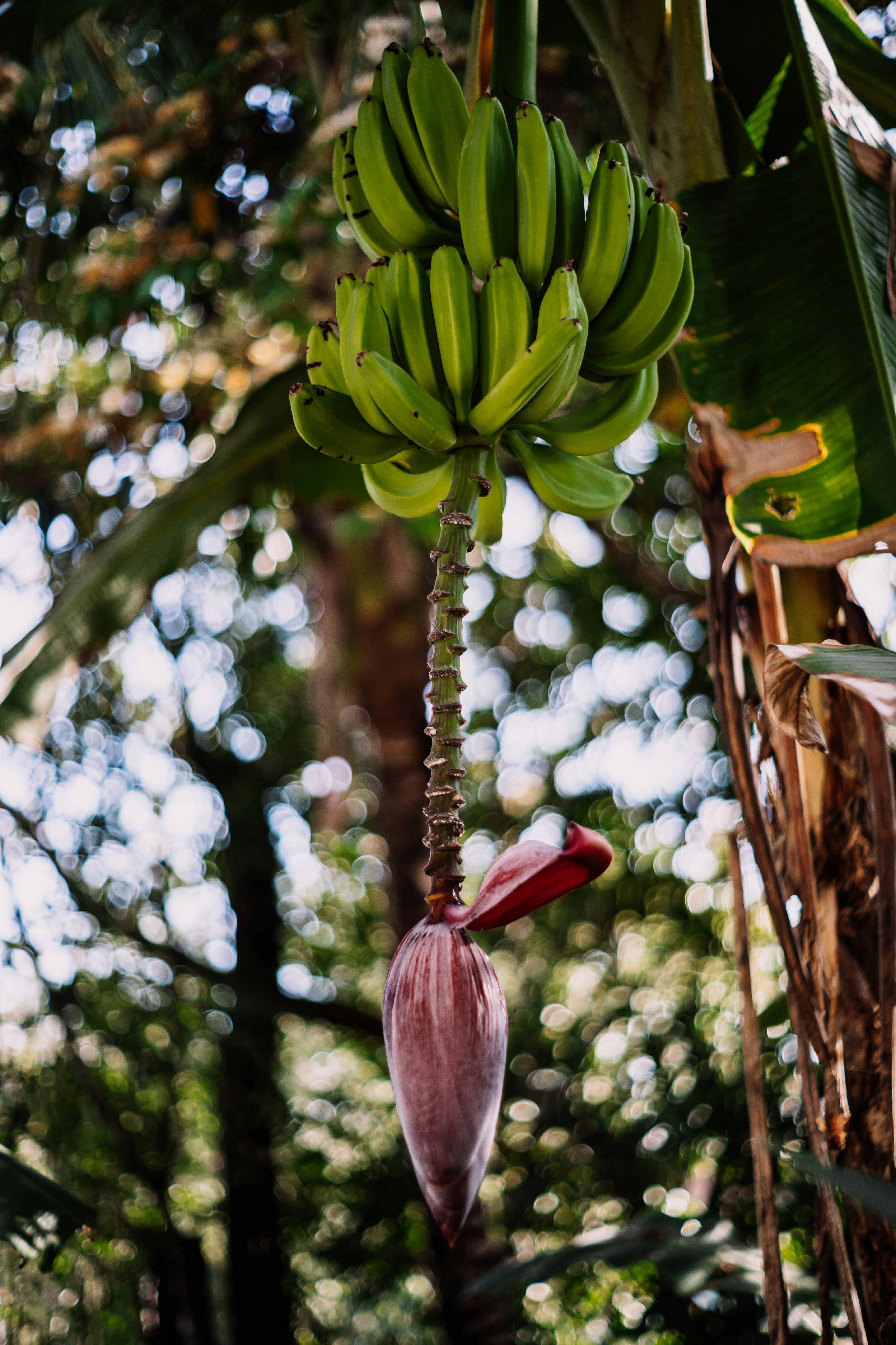 Photo by framesforyourheart