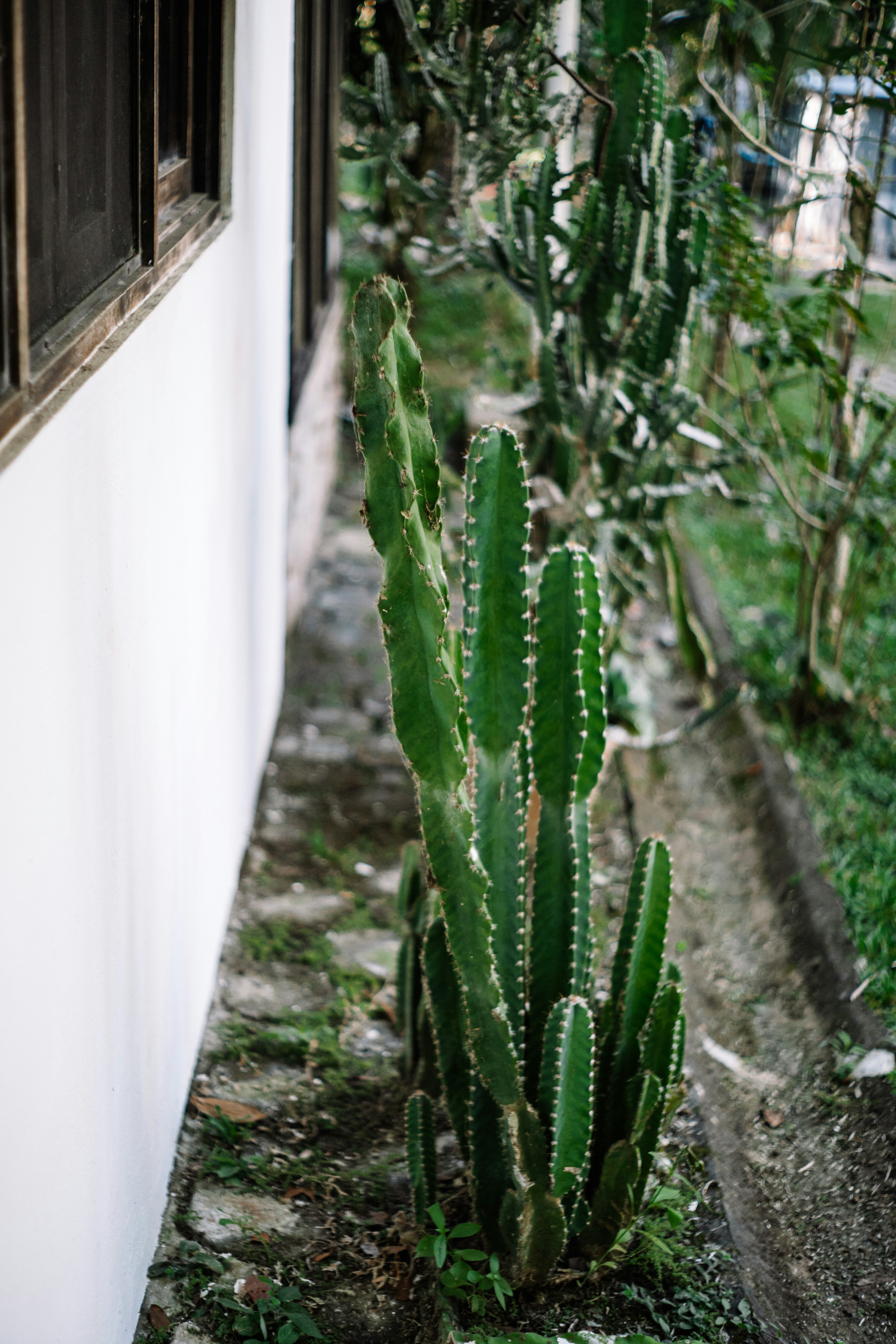 Photo by framesforyourheart