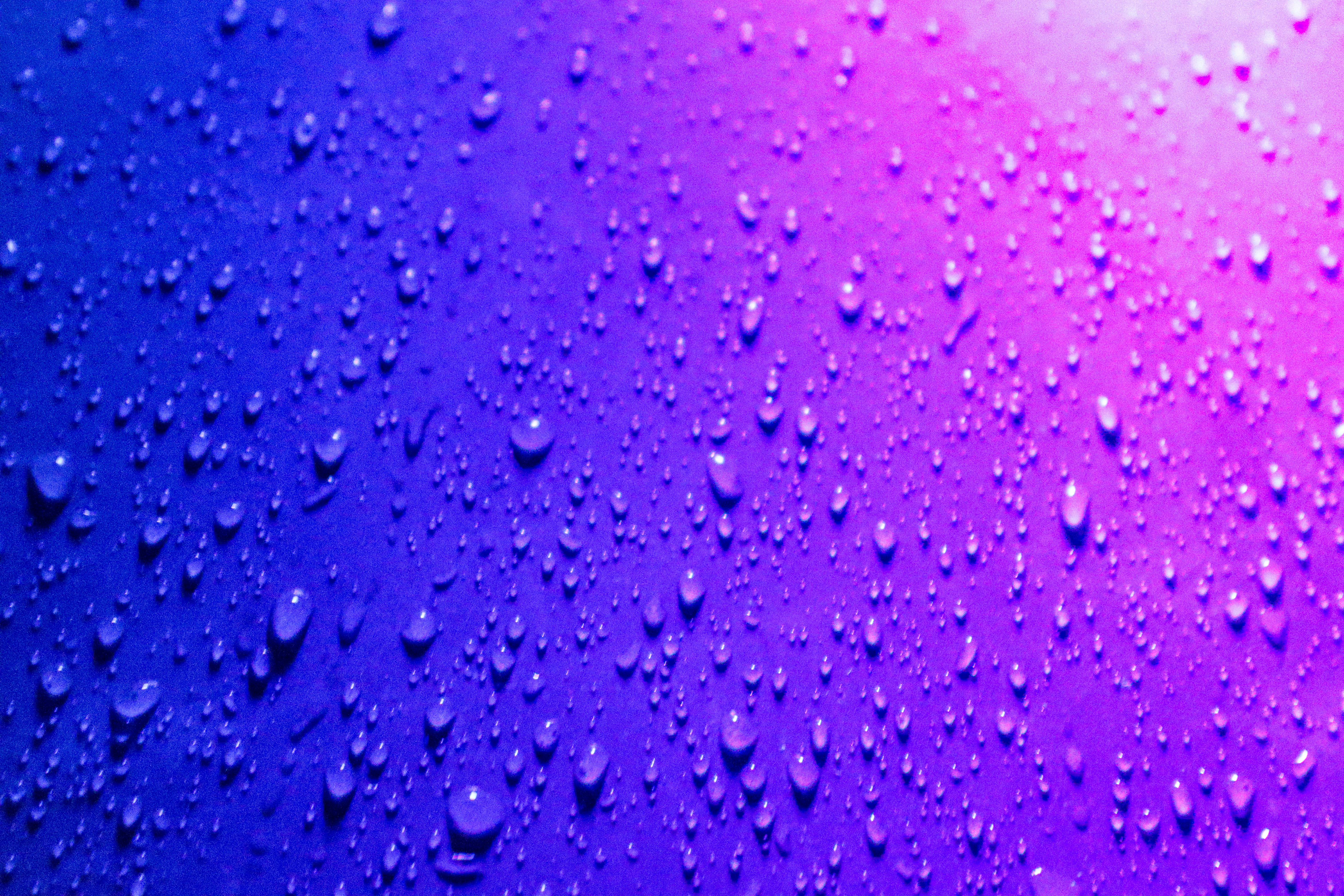 Photo by giovanninehme