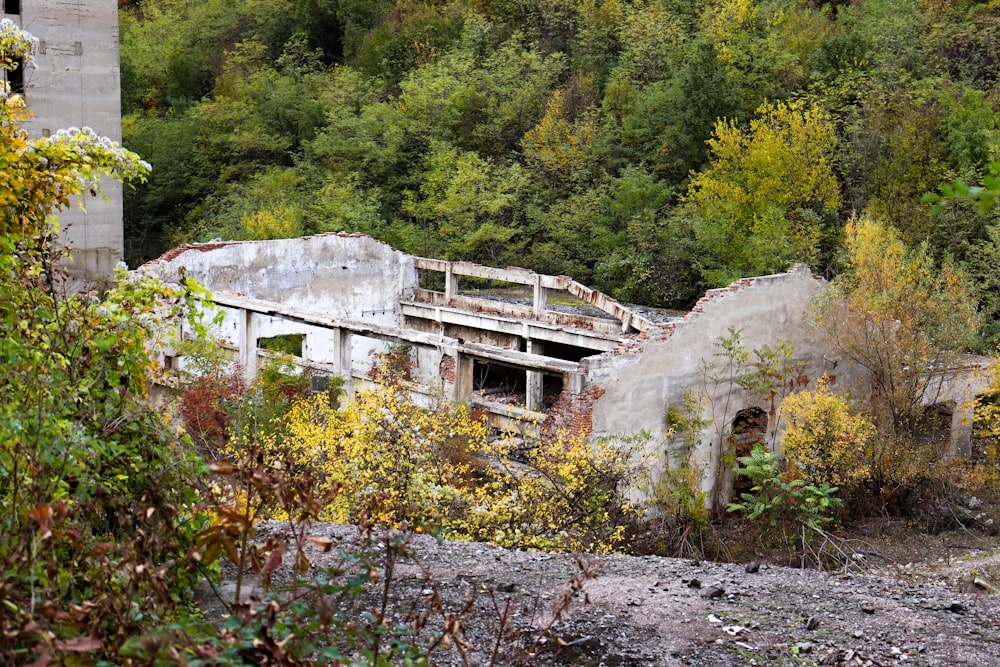 a run down building in the middle of a forest