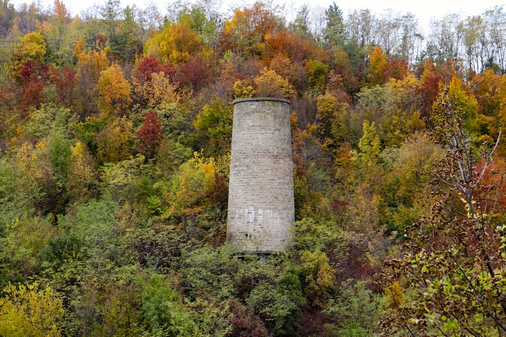 an old brick chimney surrounded by trees in the fall