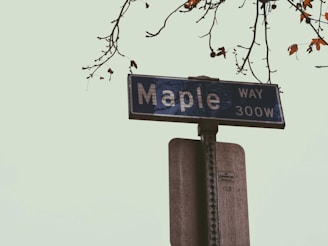 A street sign with the text 'Maple Way 300W' is mounted on a pole. The background features branches of a tree with sparse, autumn leaves. The sky is overcast, giving a muted and serene ambiance.