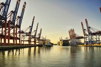 a harbor filled with lots of large cranes