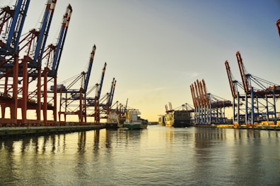 a harbor filled with lots of large cranes