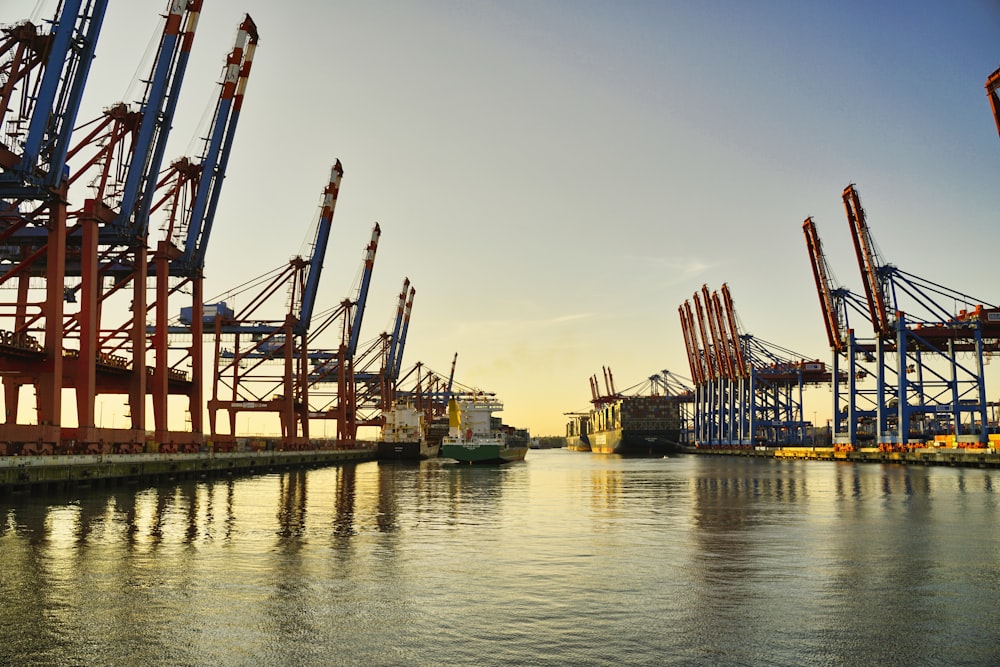 a harbor filled with lots of large cranes