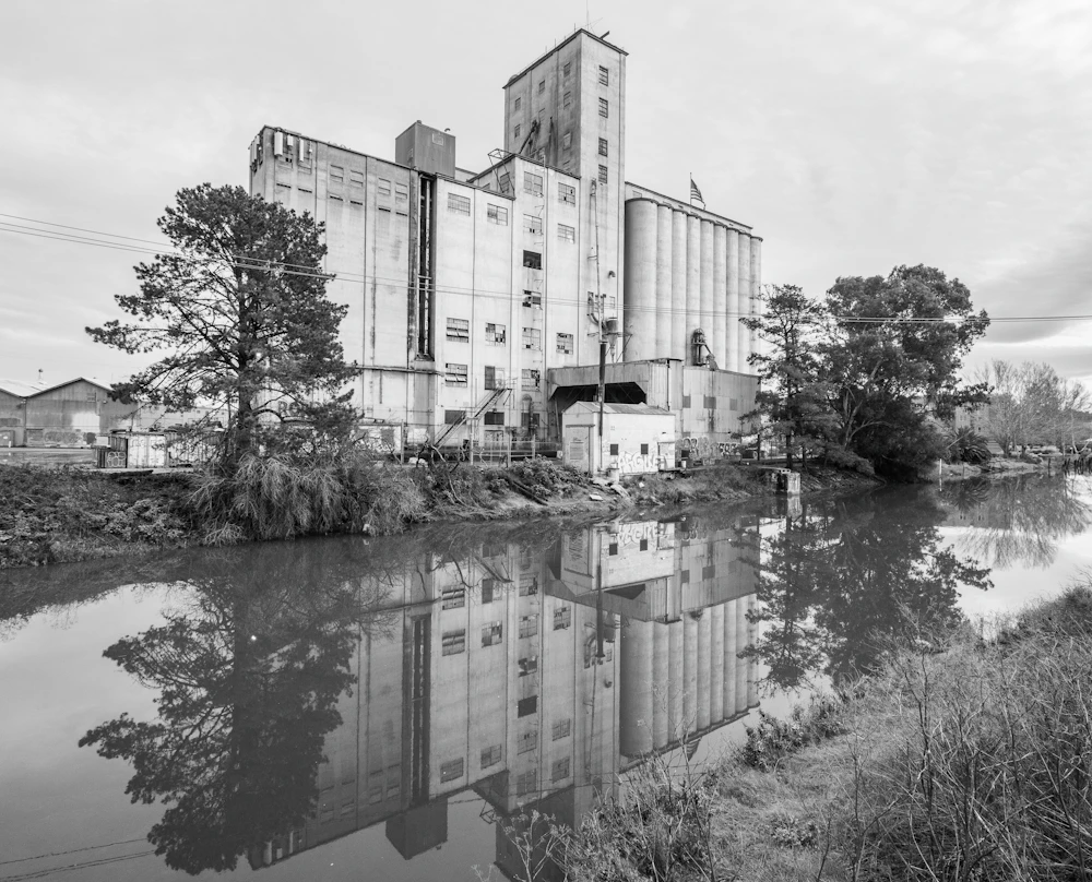 The Dairyman's Feed grain mill and silos reflected in the Petaluma River