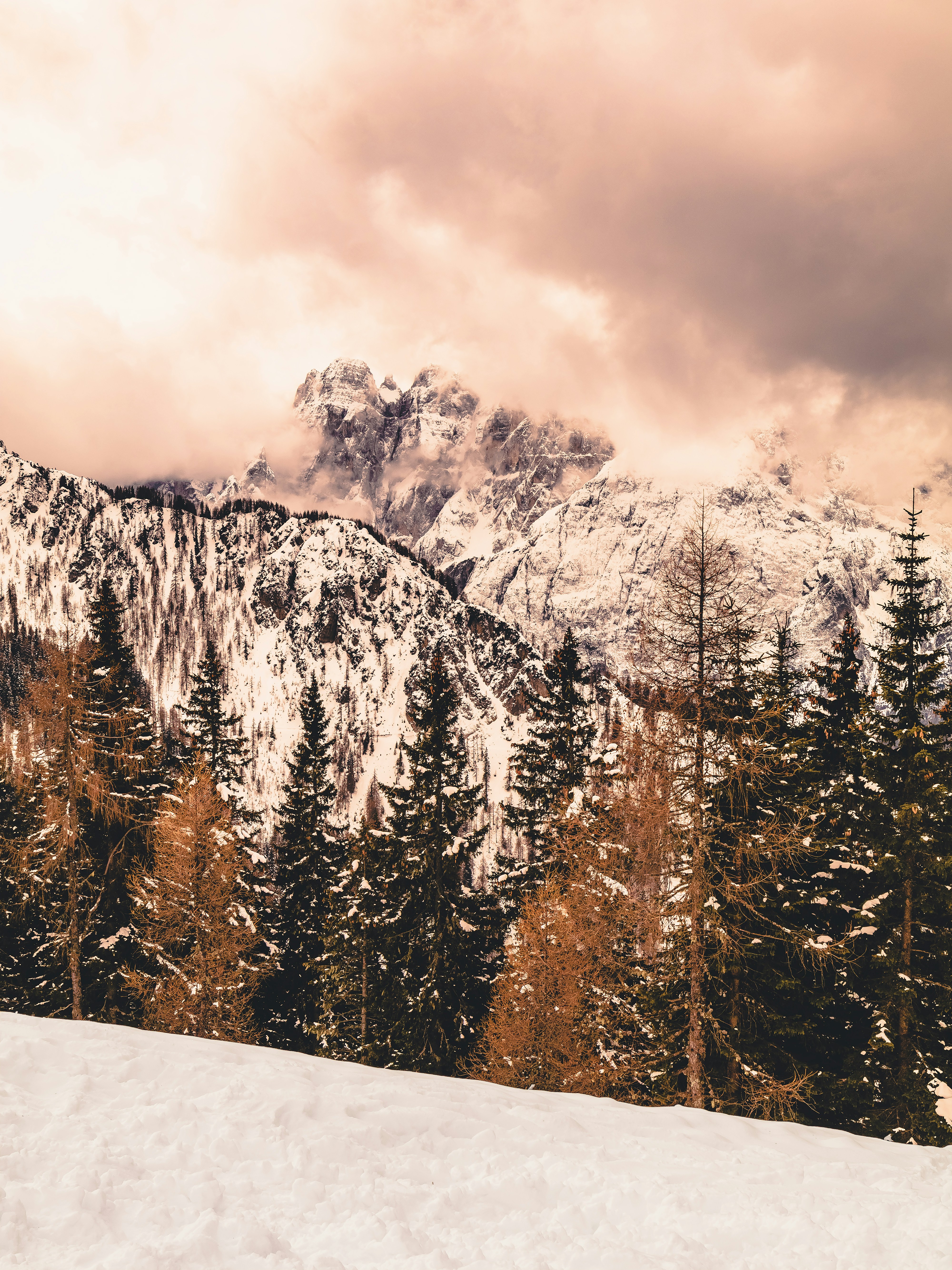 Photo by merlin_photo