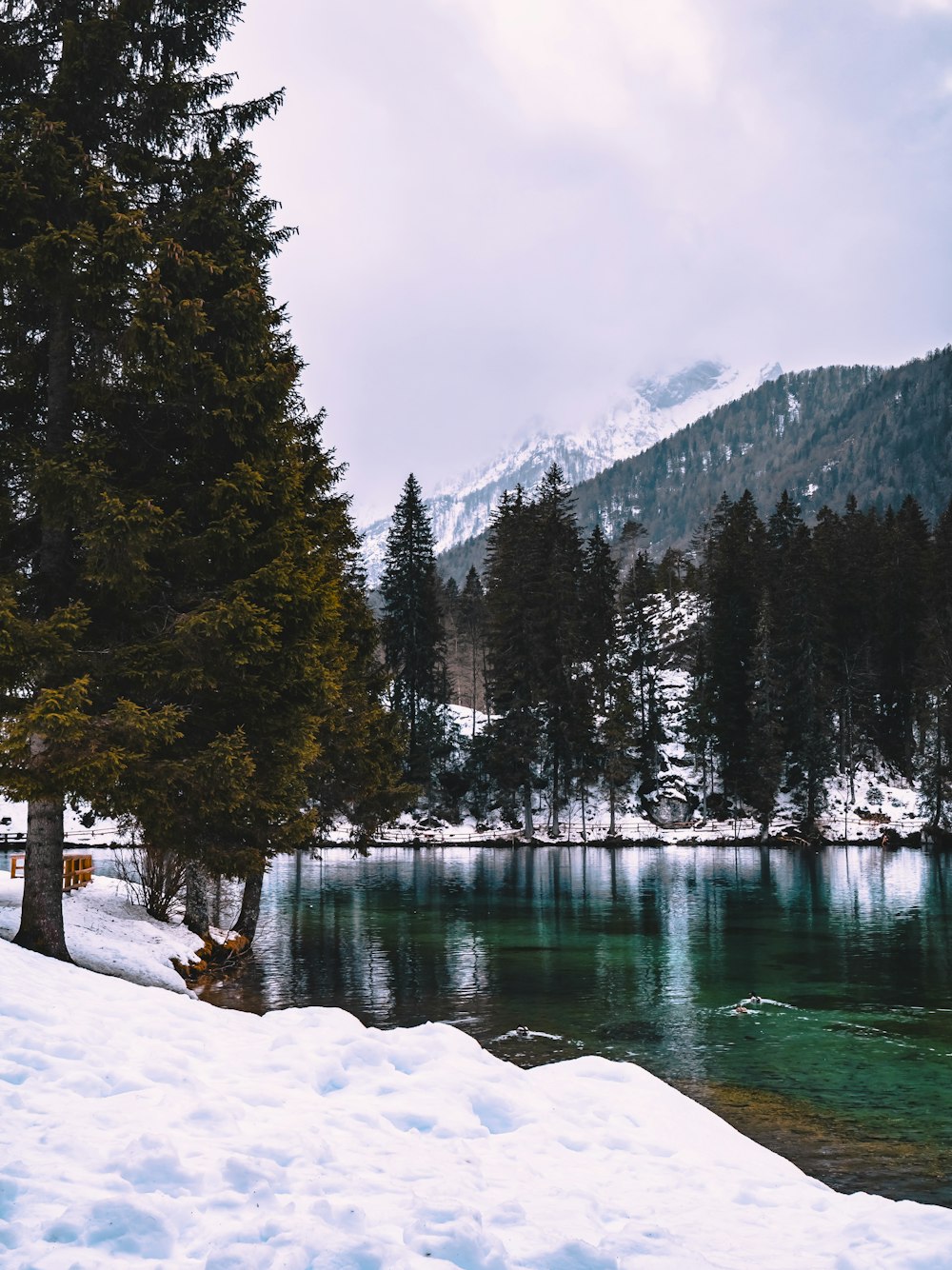 a lake surrounded by snow covered trees and mountains