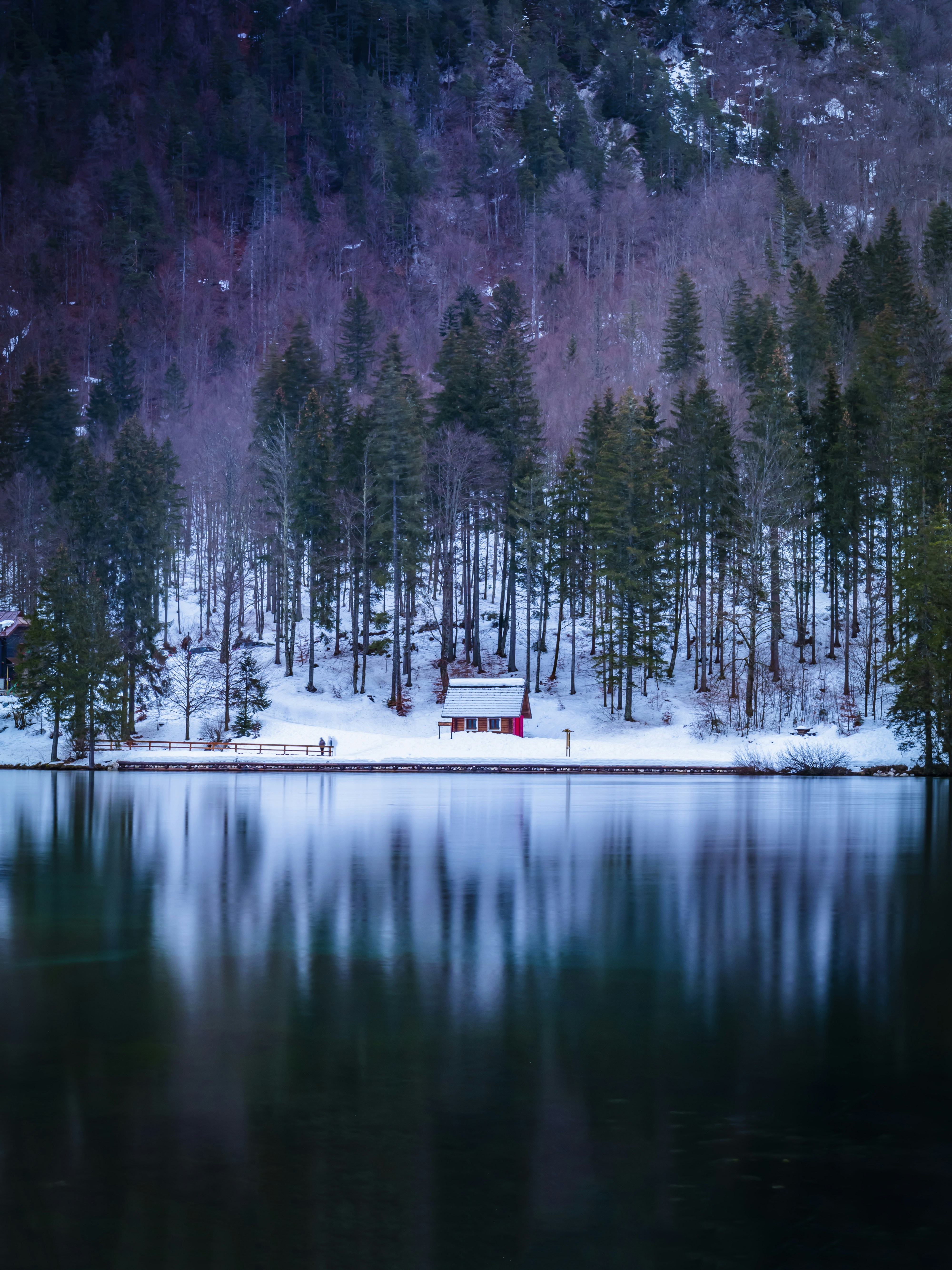 Photo by merlin_photo