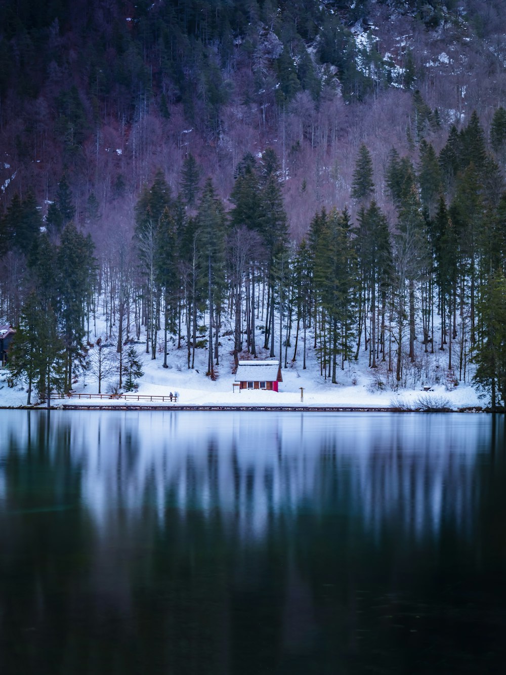 a lake surrounded by a forest covered in snow