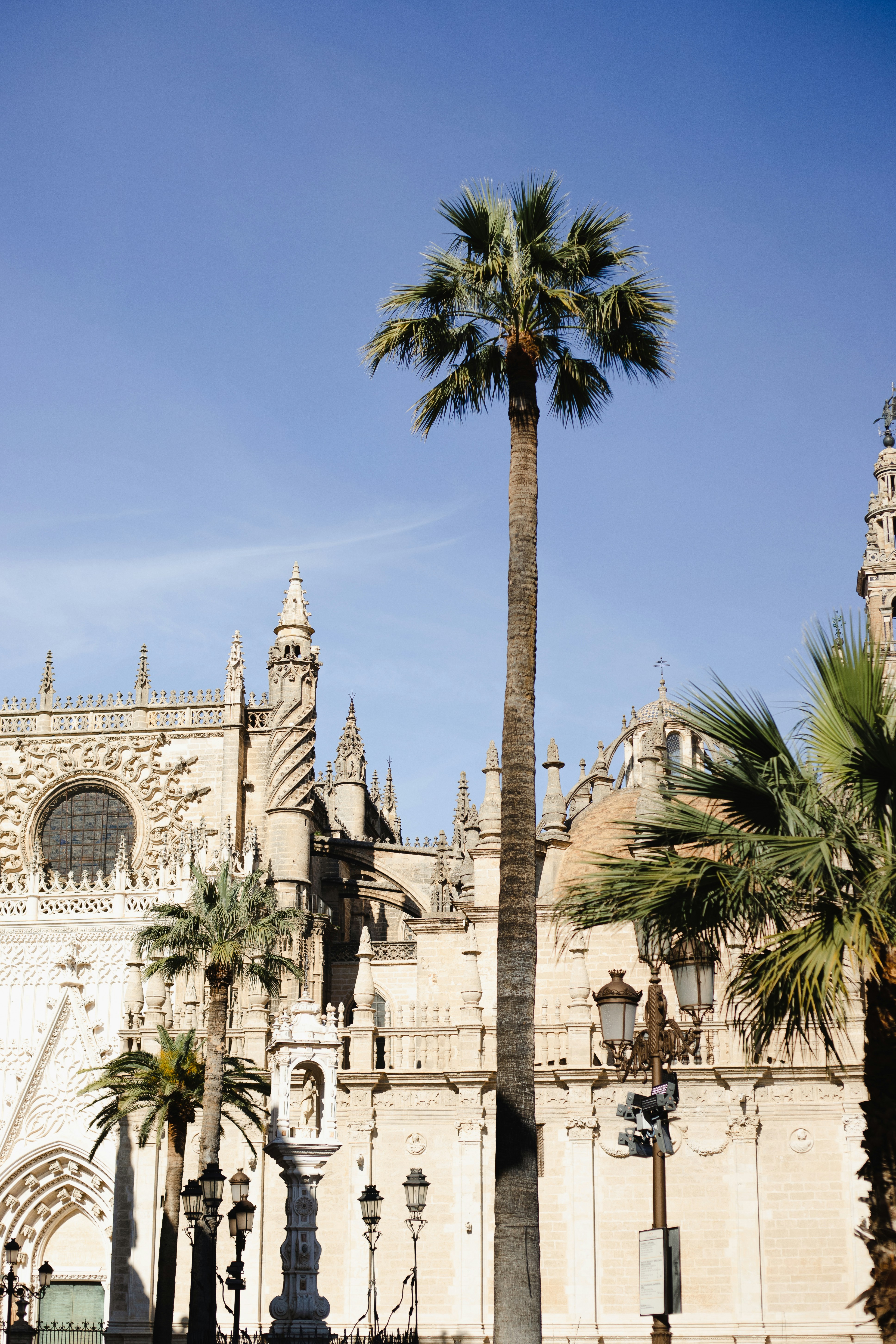 Photo by juliamatuzova