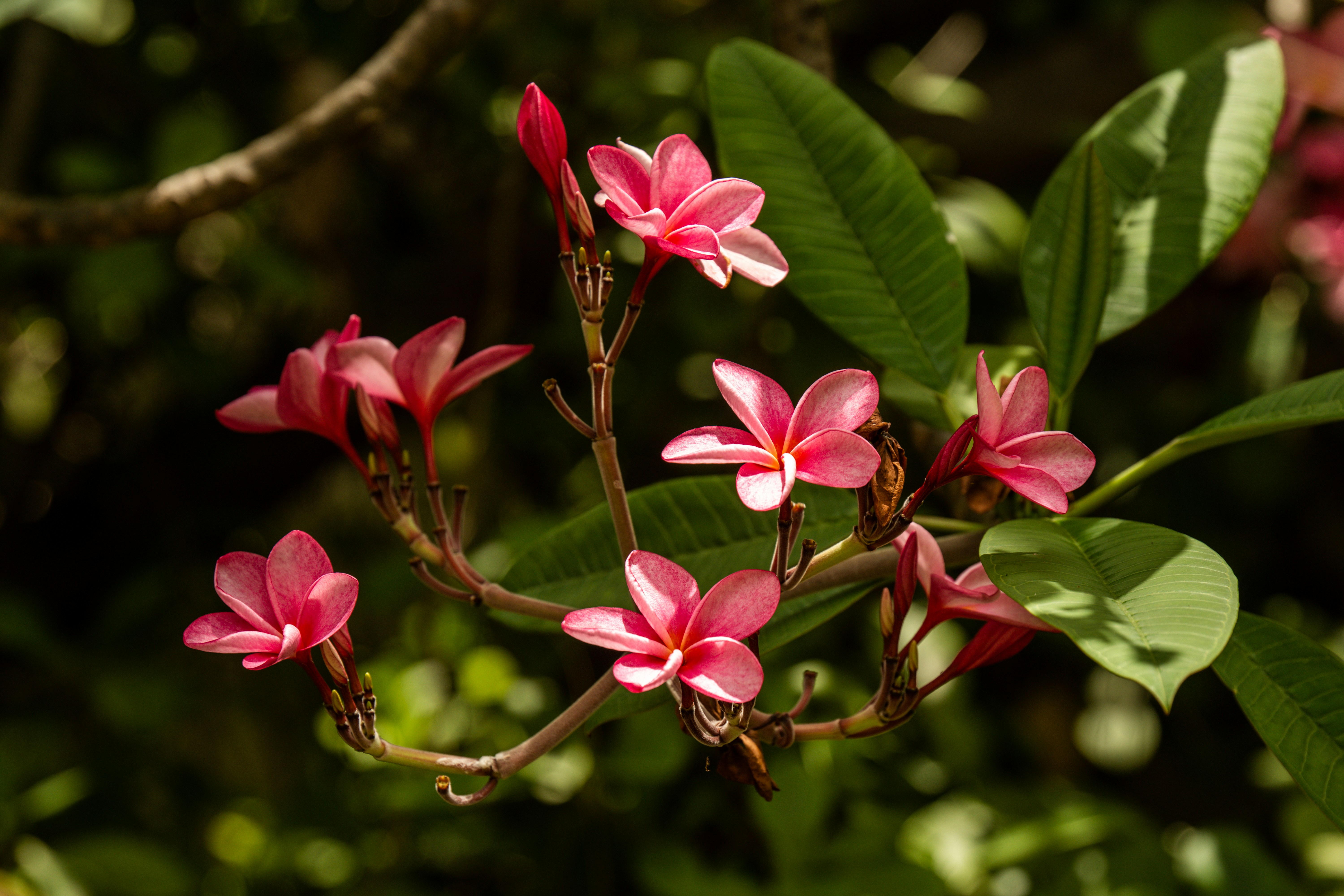 Photo by josegomesphoto