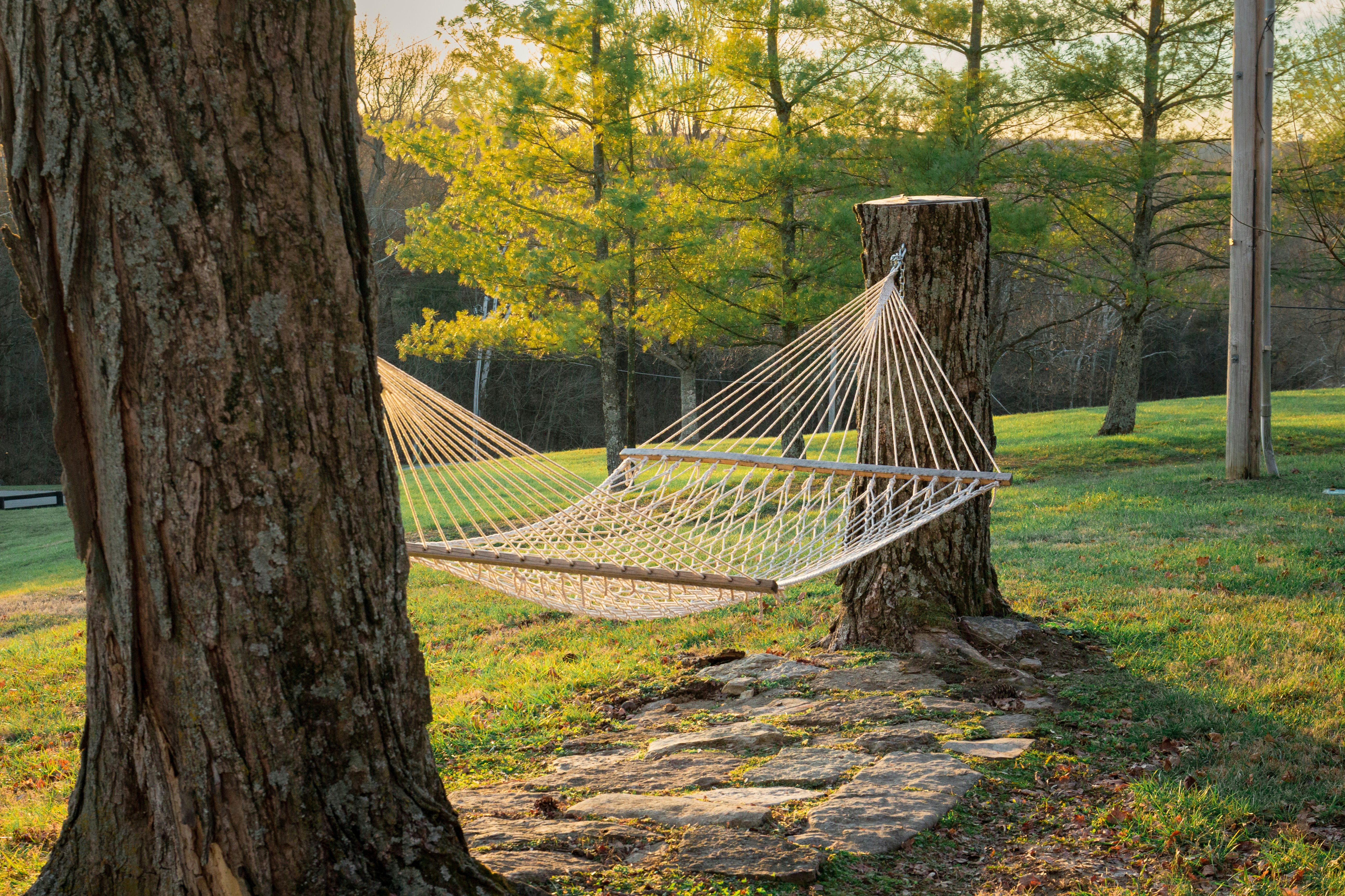 hammock relaxation nature, wallpaper, Bridge vs Gathered End Hammocks: Which is Best? 2