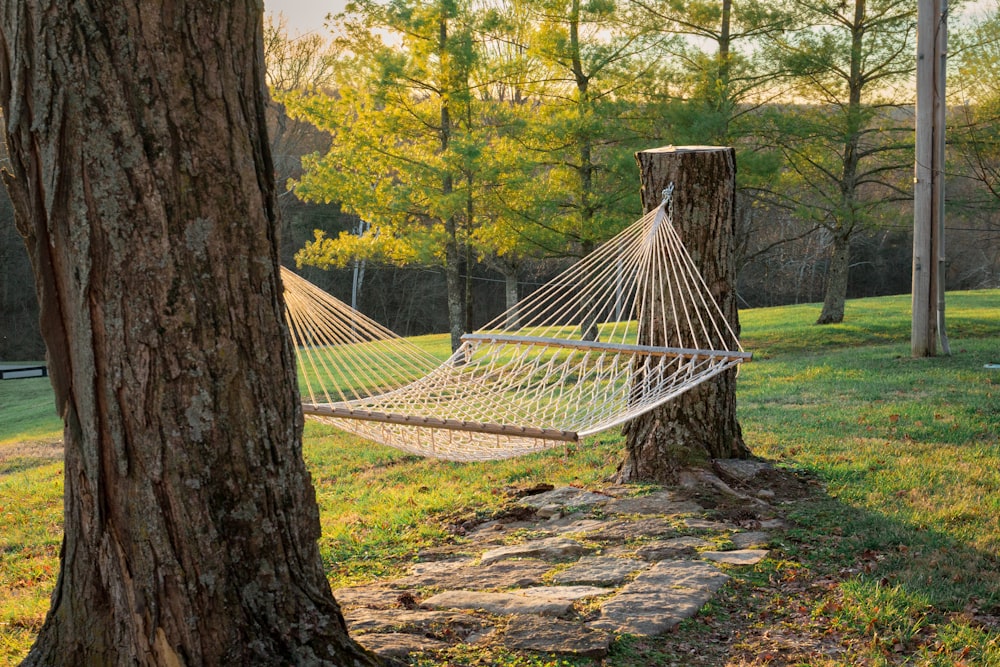 a hammock hanging between two trees in a park