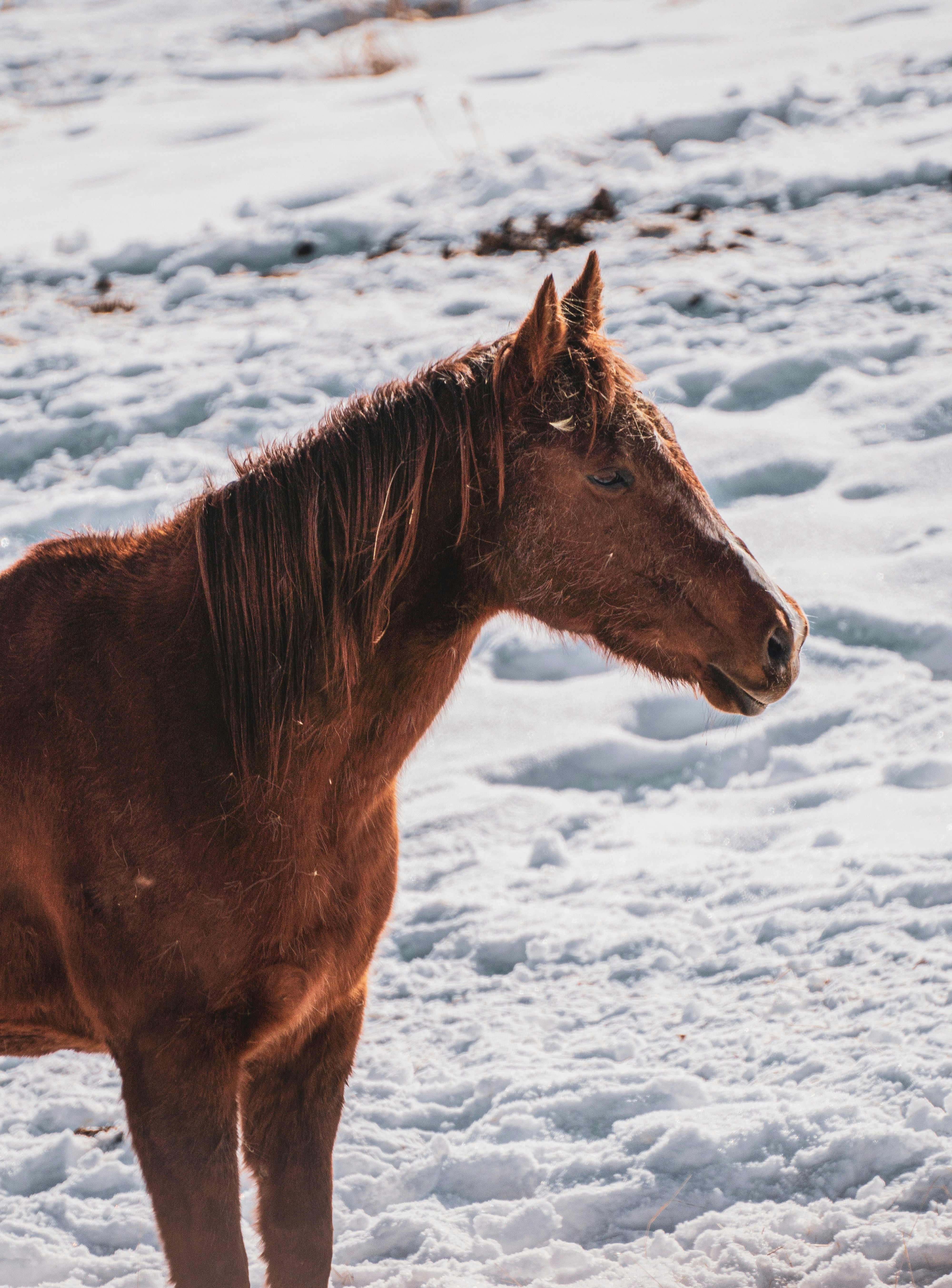 Photo by keepitchassephotography