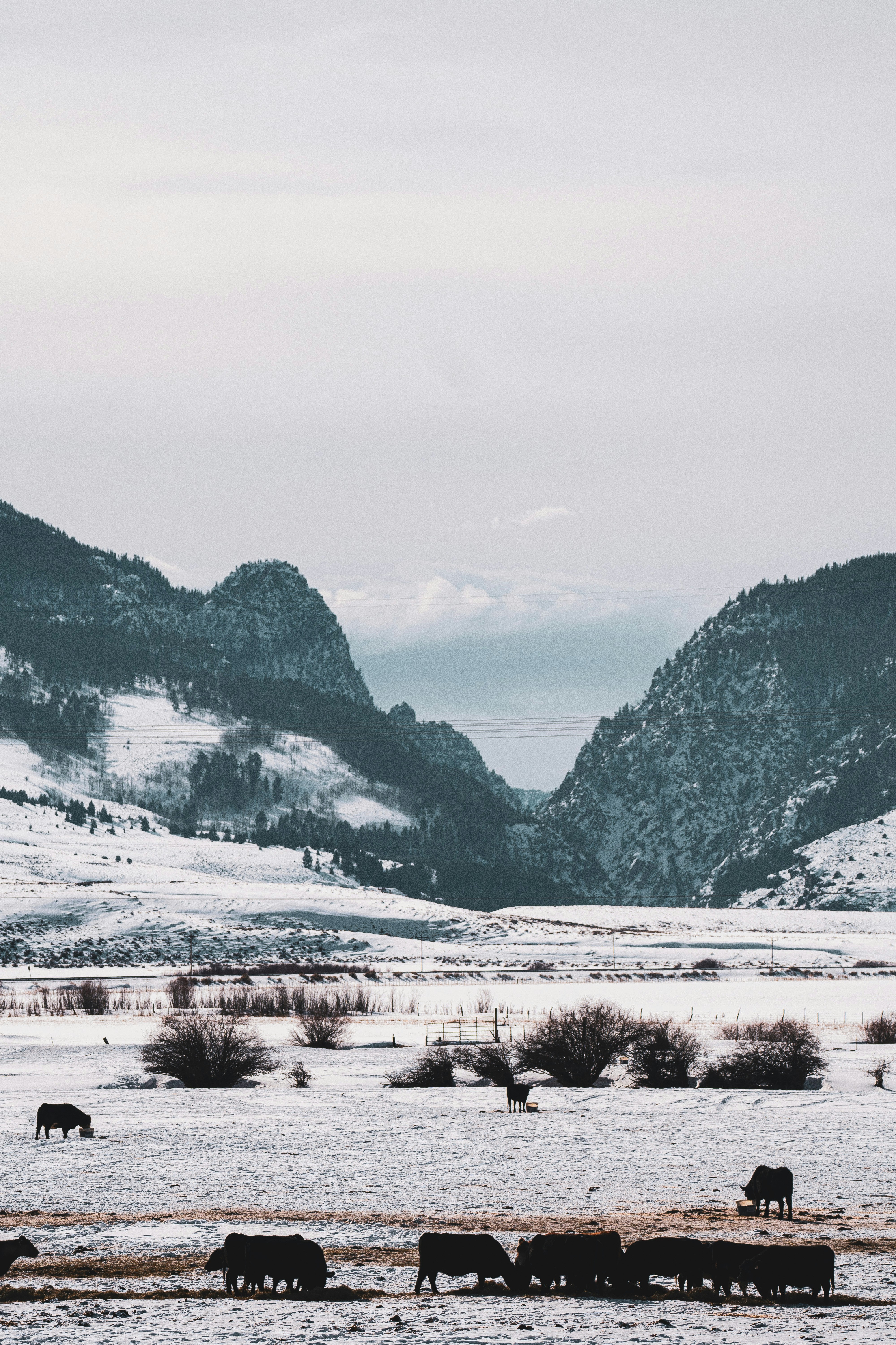 Photo by keepitchassephotography