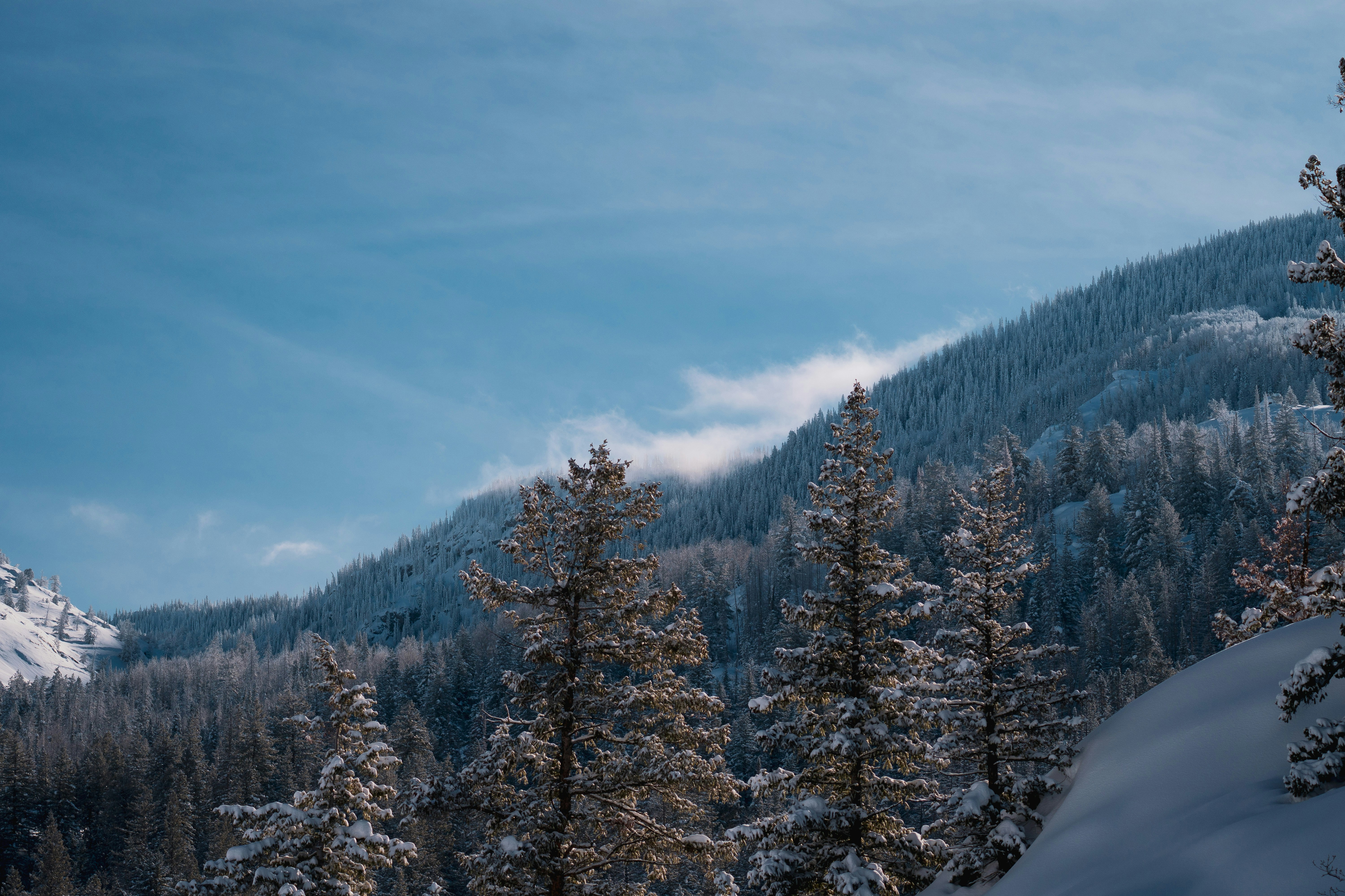 Photo by keepitchassephotography