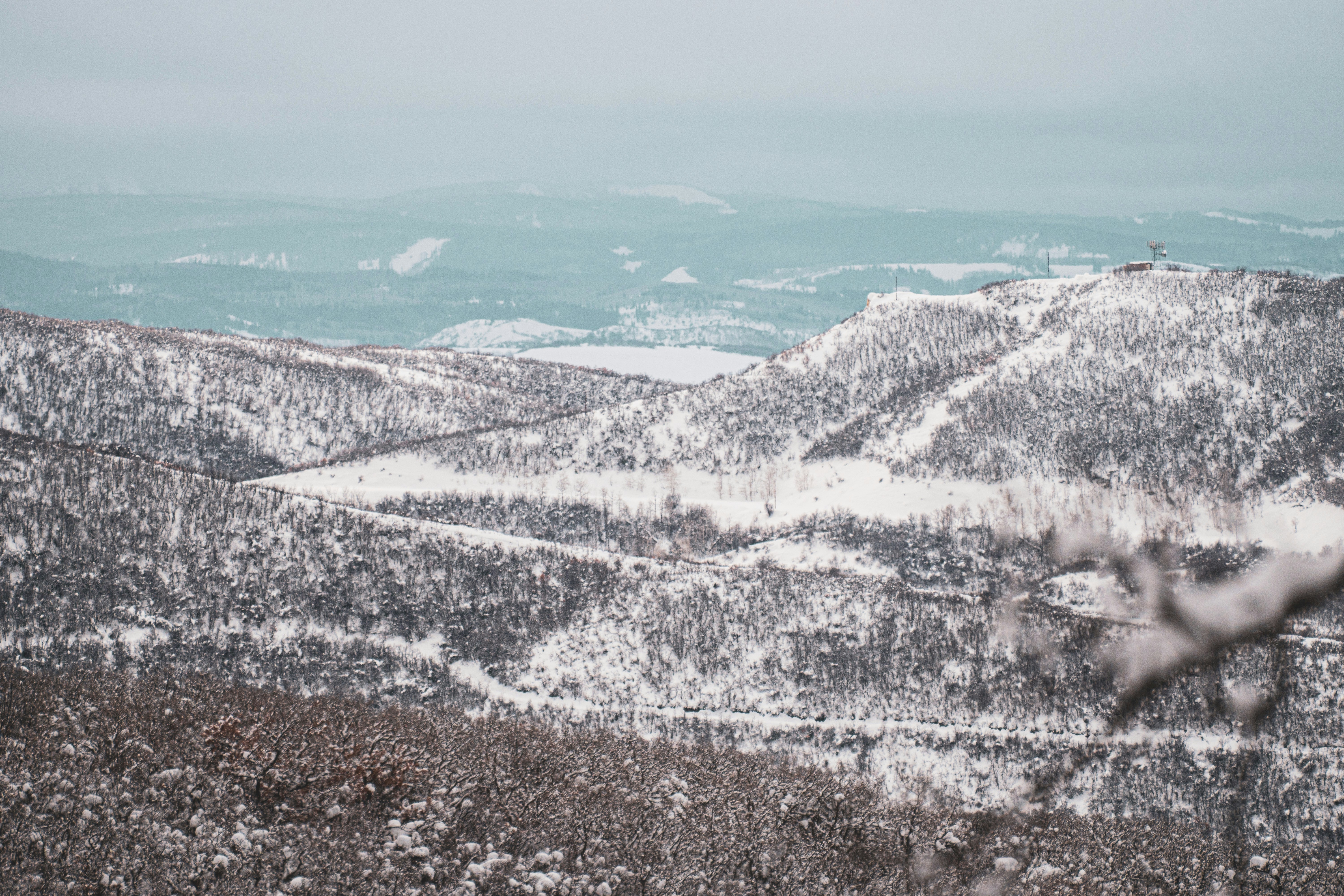 Photo by keepitchassephotography