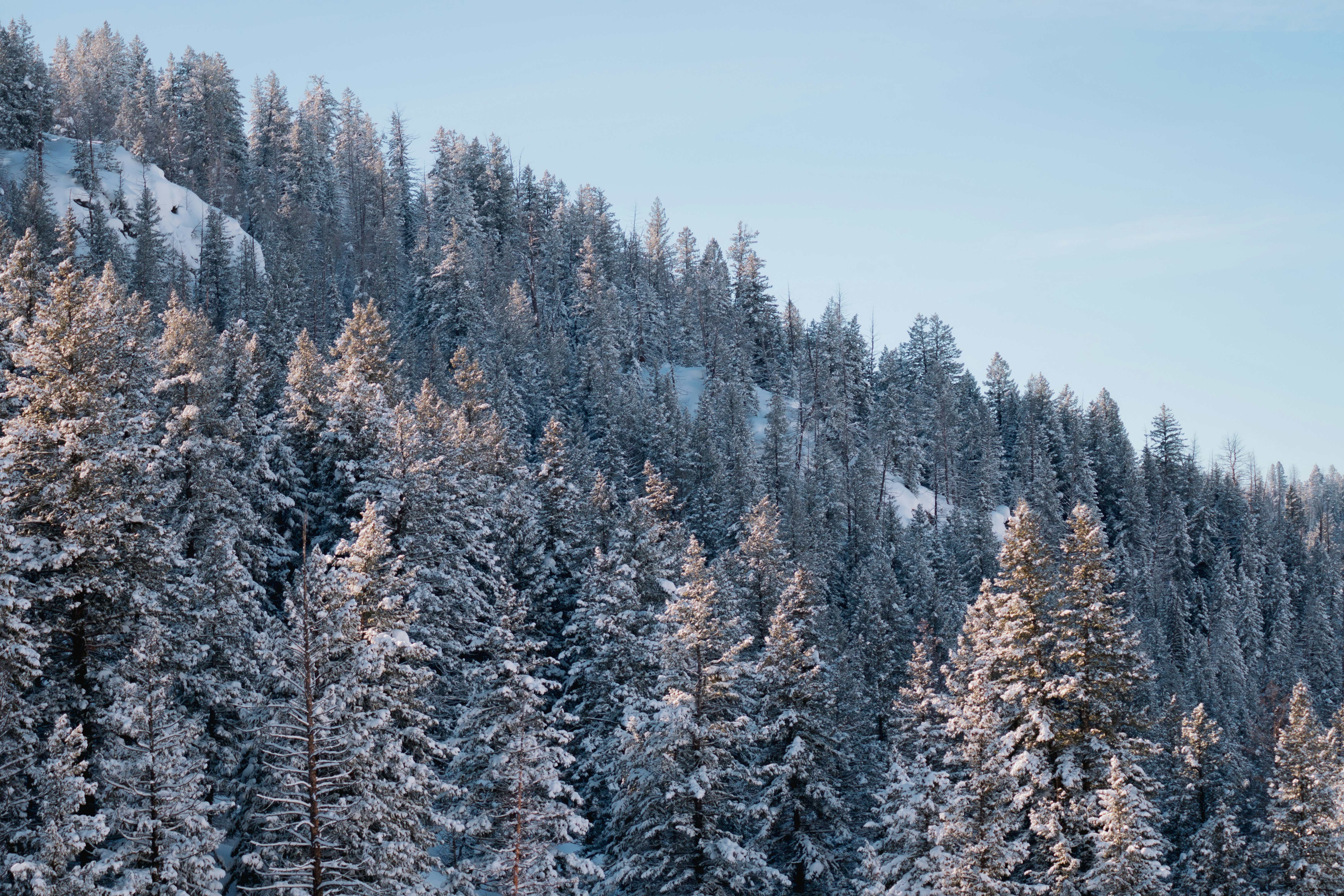 Photo by keepitchassephotography