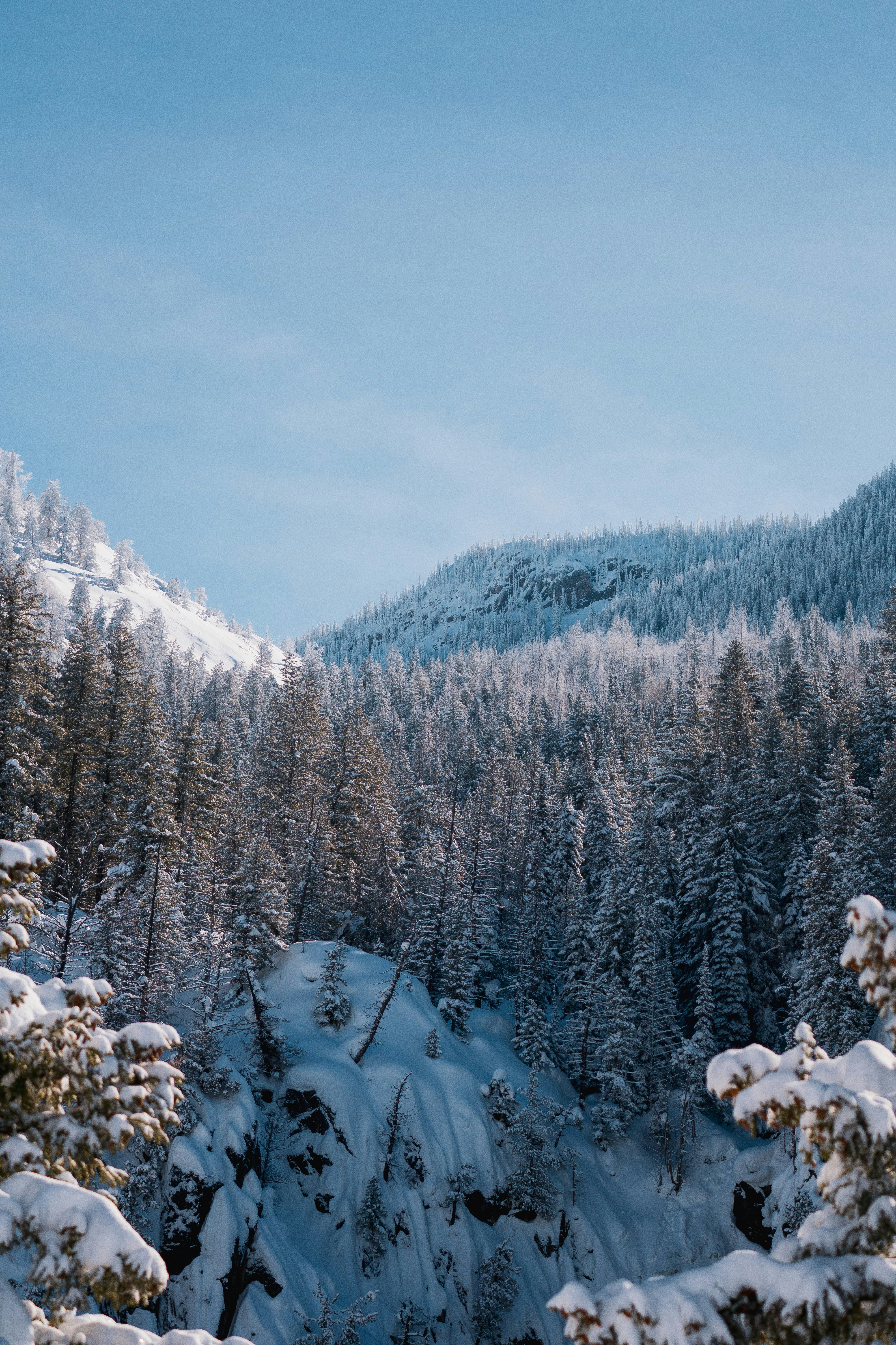 Photo by keepitchassephotography