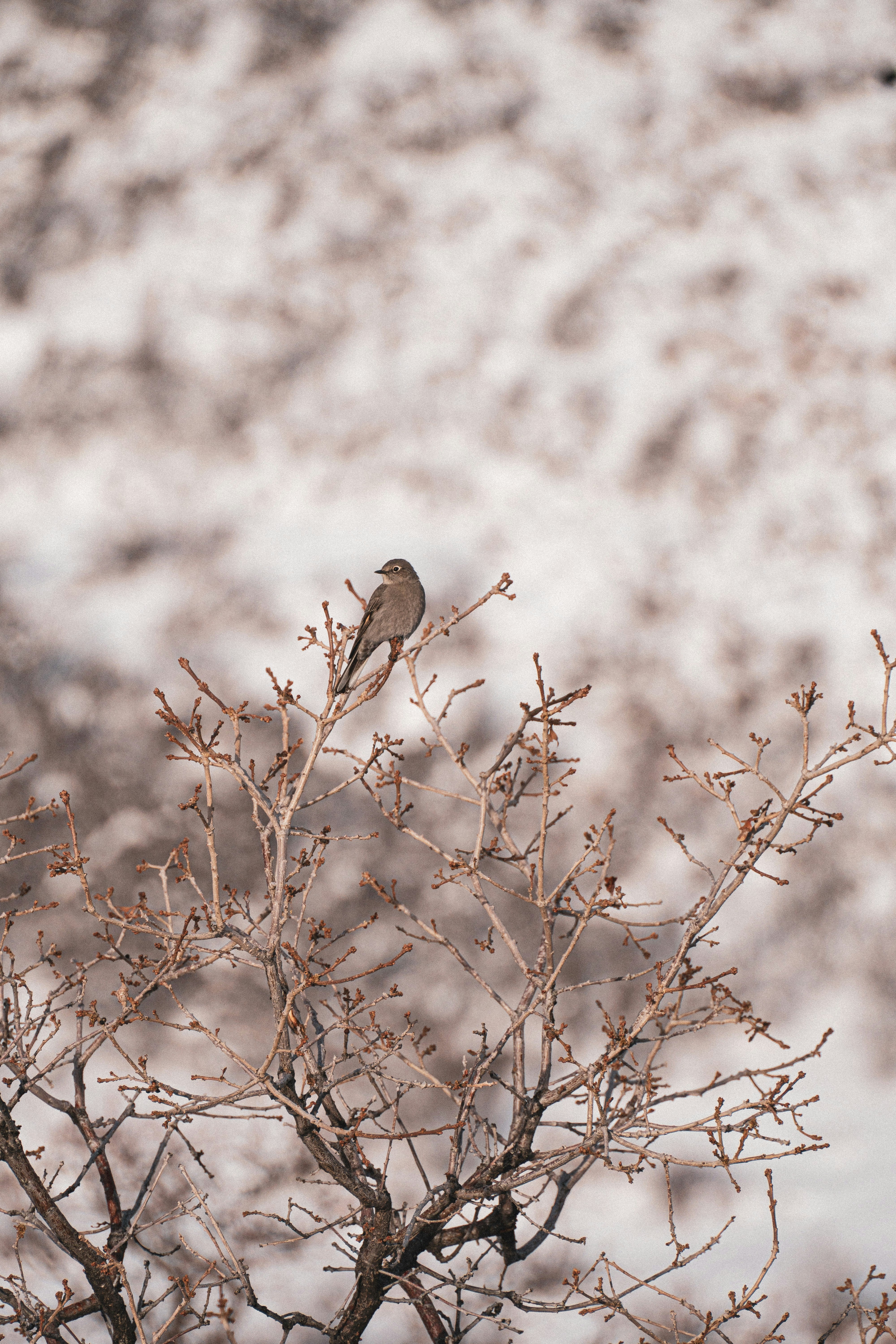 Photo by keepitchassephotography