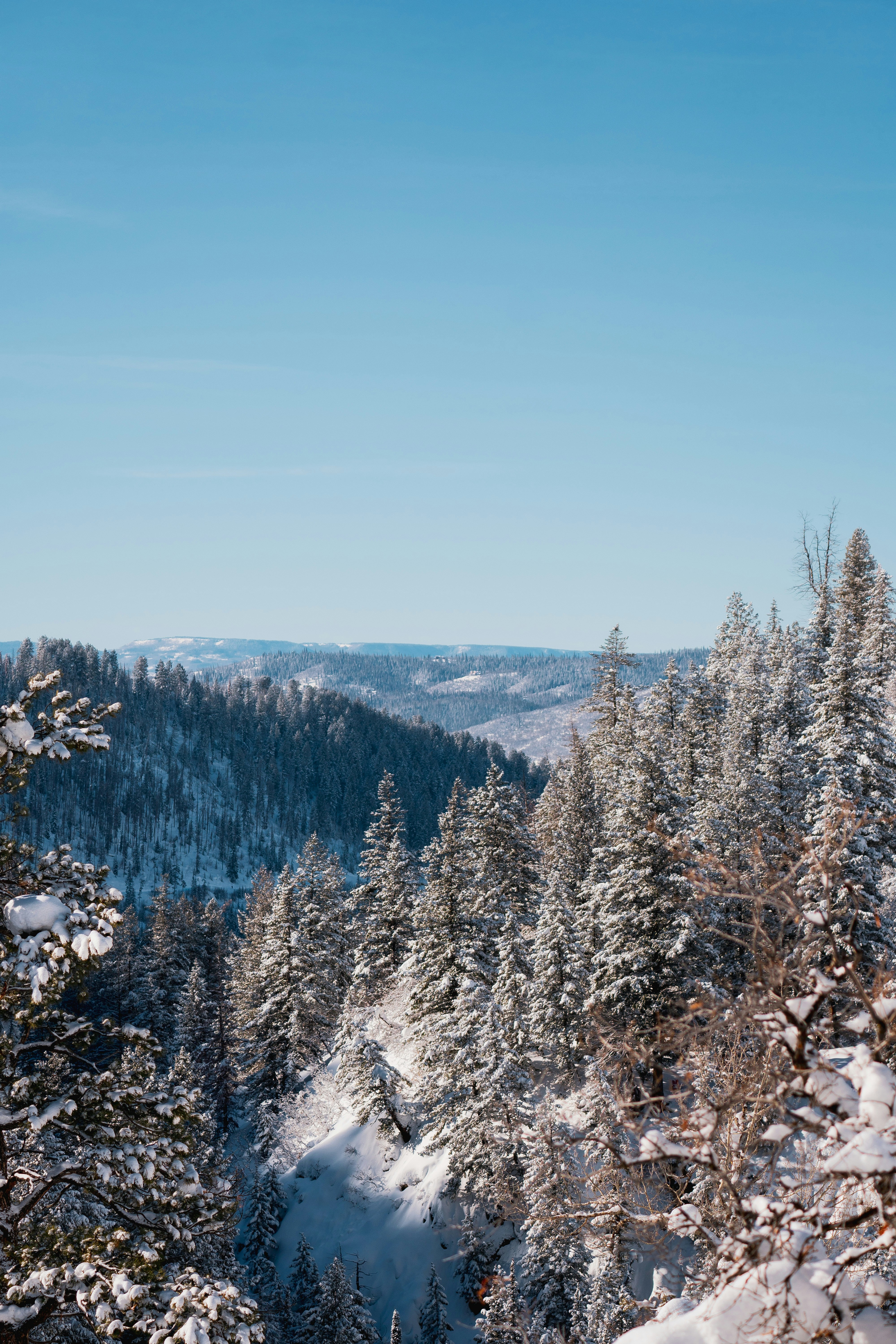 Photo by keepitchassephotography