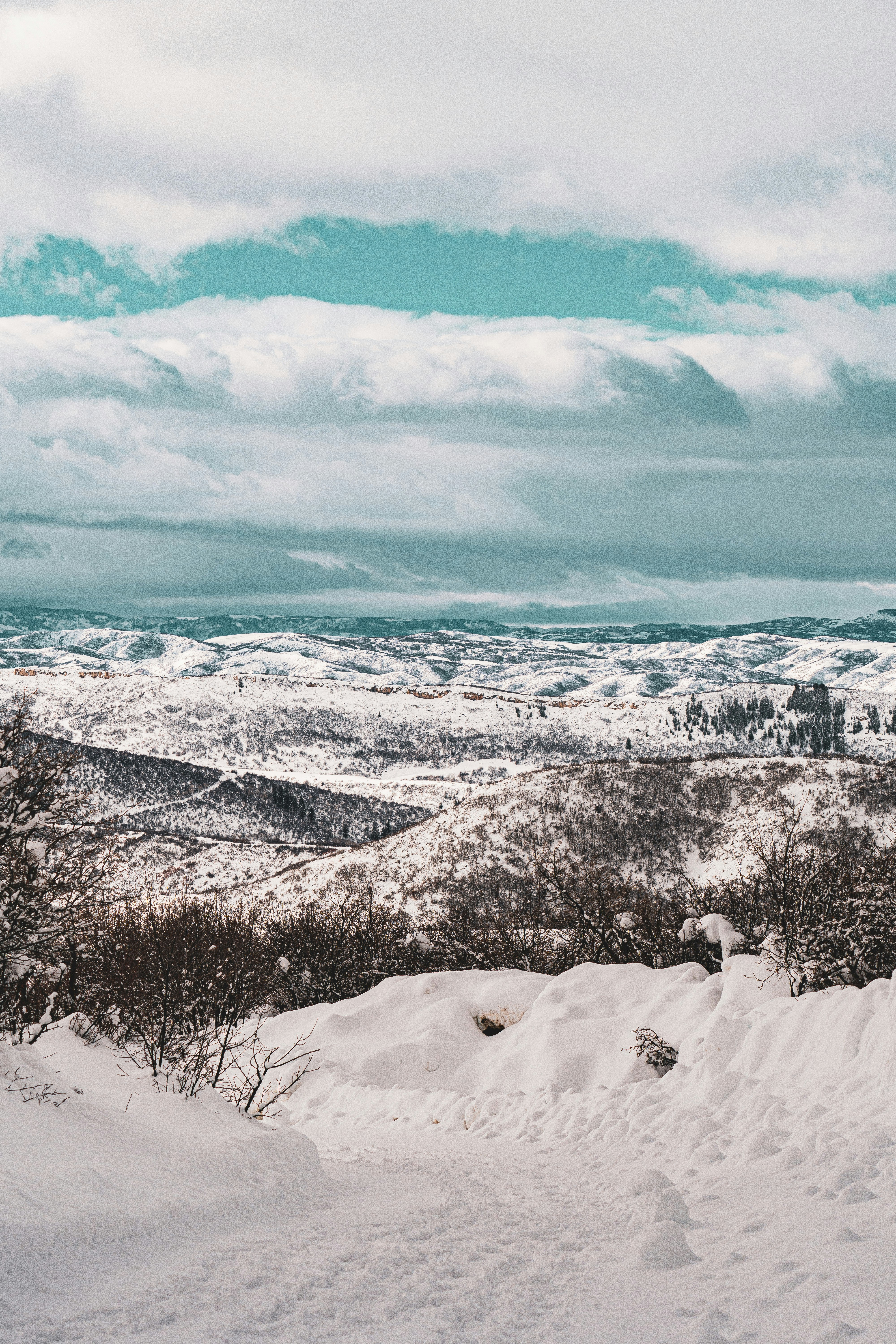 Photo by keepitchassephotography