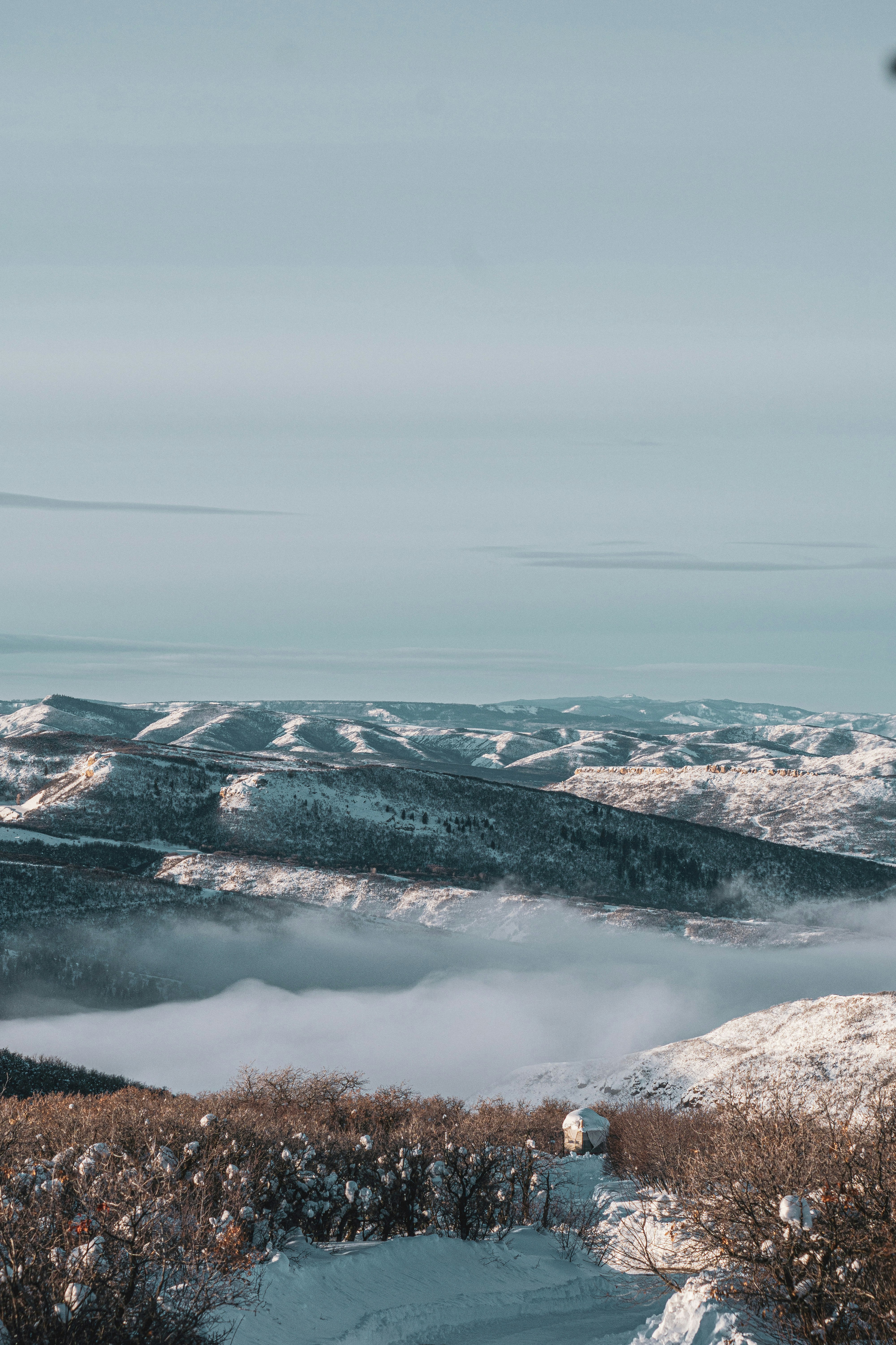 Photo by keepitchassephotography