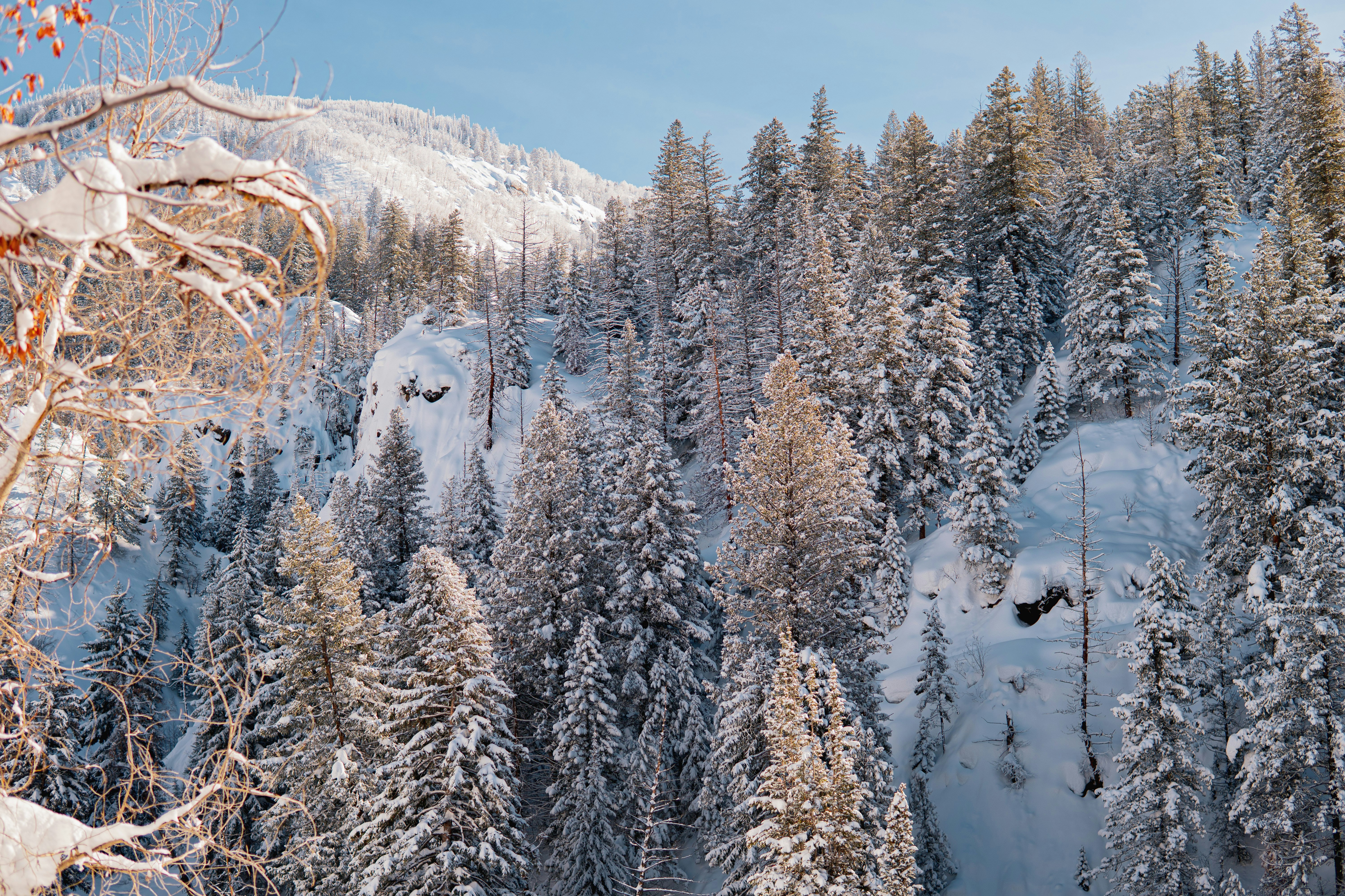 Photo by keepitchassephotography