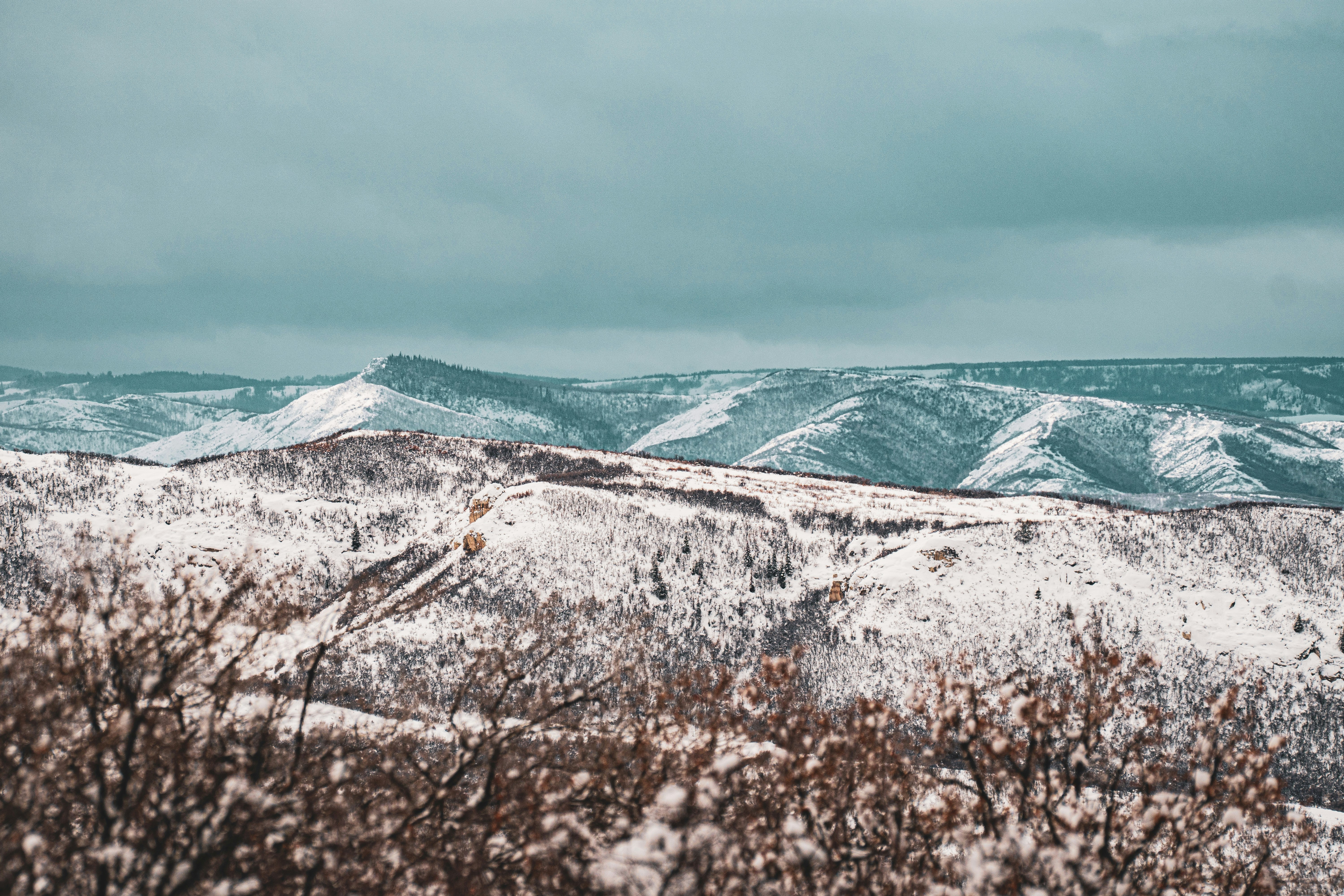 Photo by keepitchassephotography