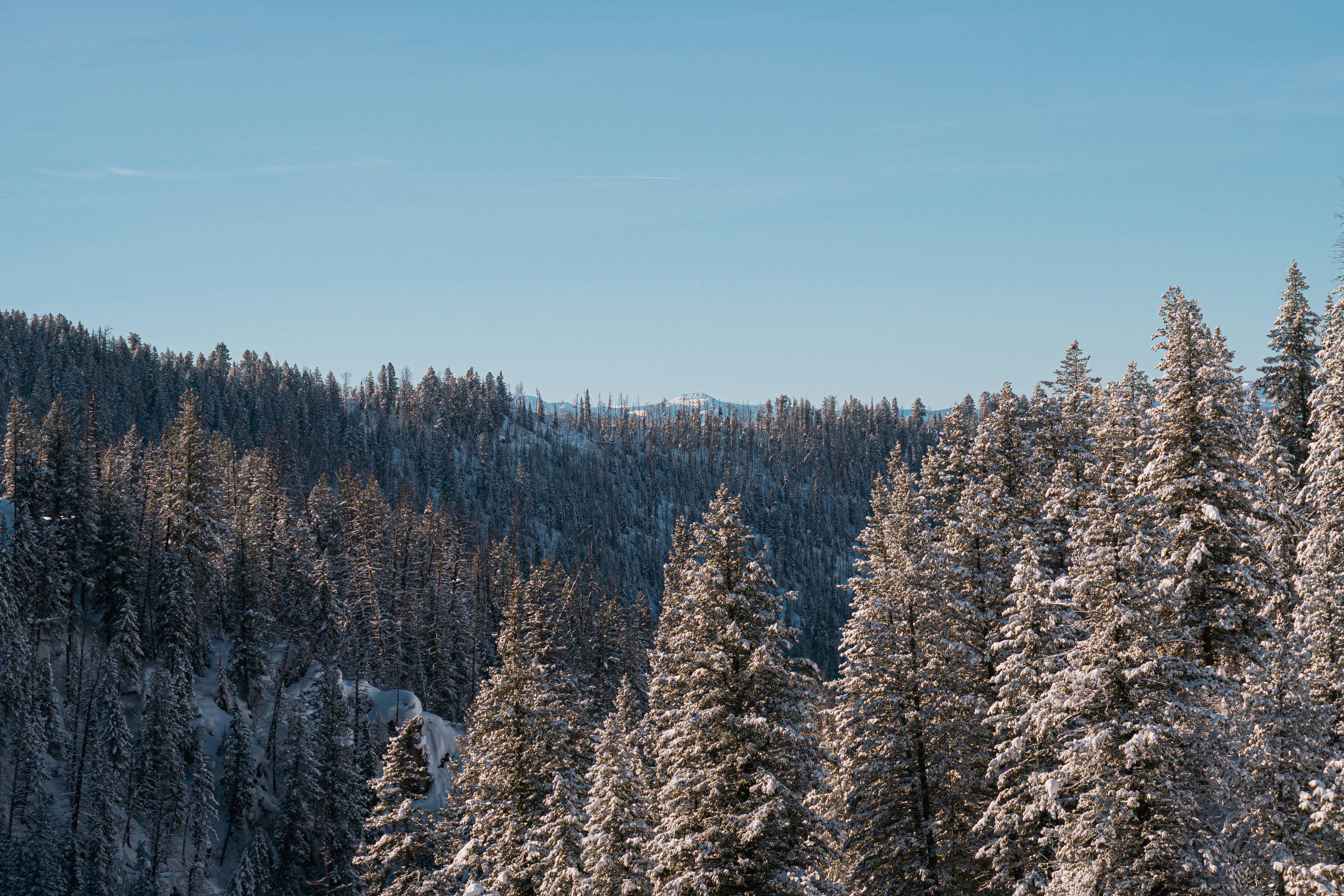 Photo by keepitchassephotography