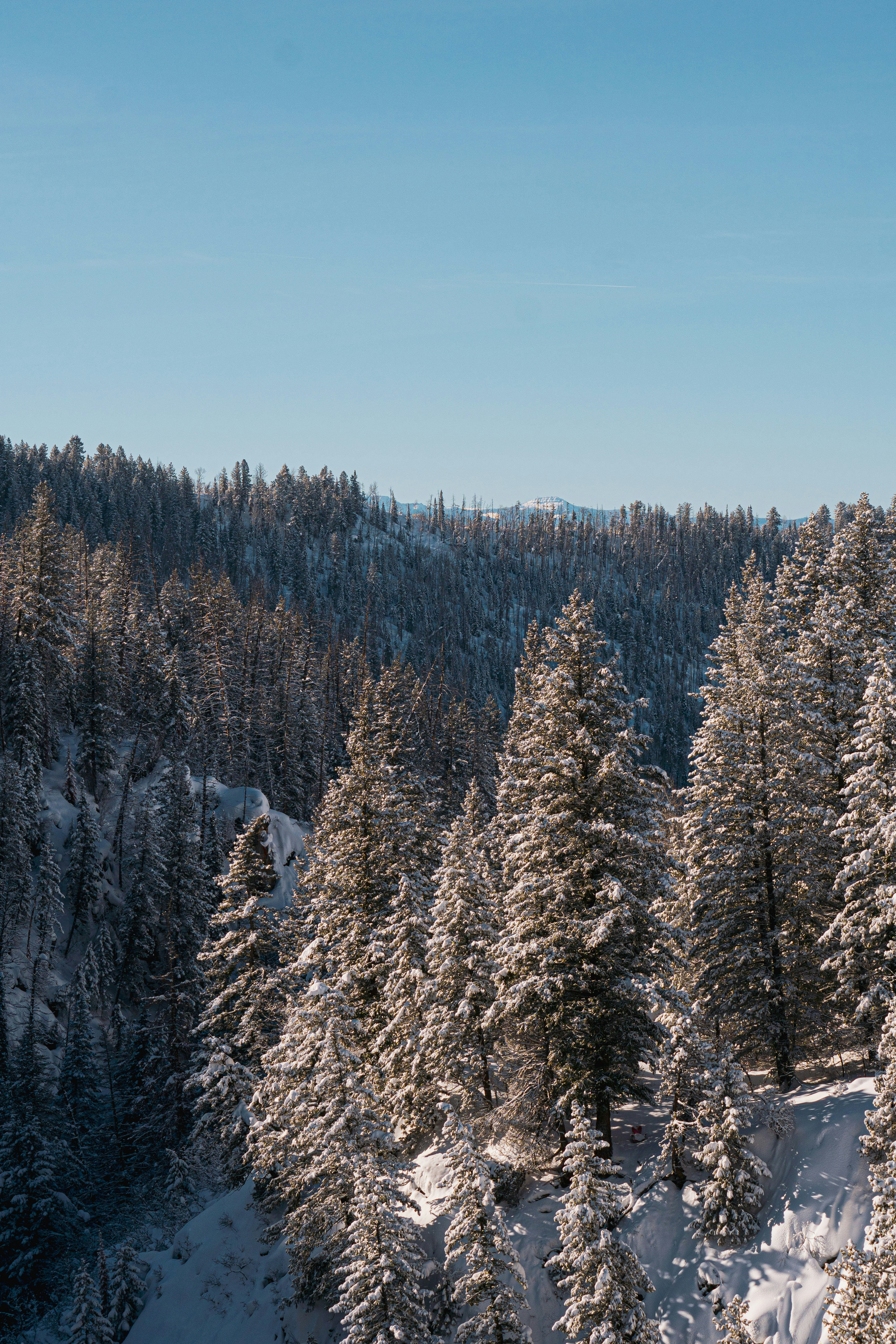 Photo by keepitchassephotography