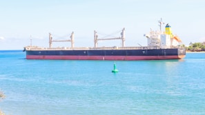 A large cargo ship is floating on calm blue waters near a shoreline. The ship has a black hull with a red bottom and features multiple cranes on its deck. There is a small green buoy in the foreground and a faint outline of land with sparse vegetation can be seen in the distance under clear skies.