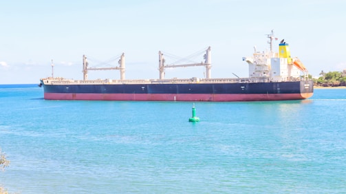 A large cargo ship is floating on calm blue waters near a shoreline. The ship has a black hull with a red bottom and features multiple cranes on its deck. There is a small green buoy in the foreground and a faint outline of land with sparse vegetation can be seen in the distance under clear skies.