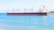 A large cargo ship is floating on calm blue waters near a shoreline. The ship has a black hull with a red bottom and features multiple cranes on its deck. There is a small green buoy in the foreground and a faint outline of land with sparse vegetation can be seen in the distance under clear skies.
